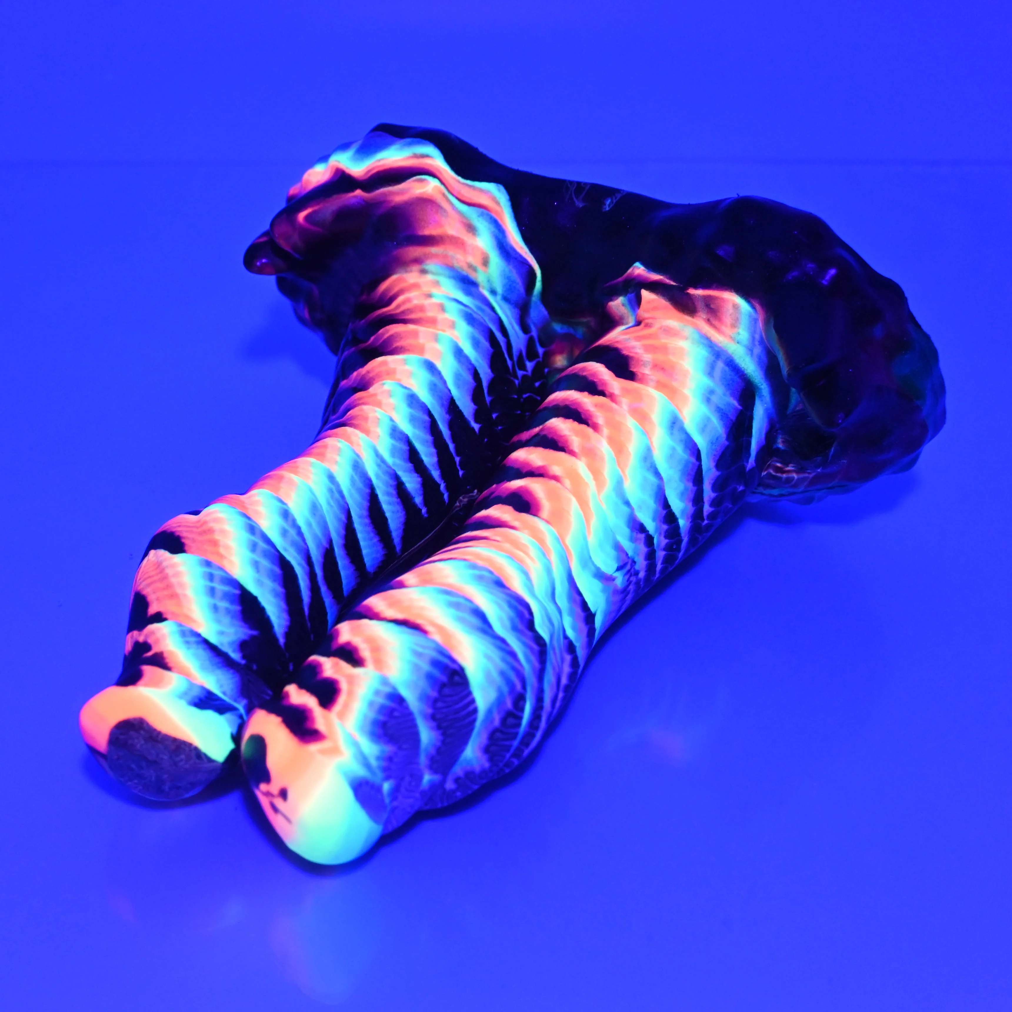 A2SBF34 Auren Small Soft UV GITD - Image 3