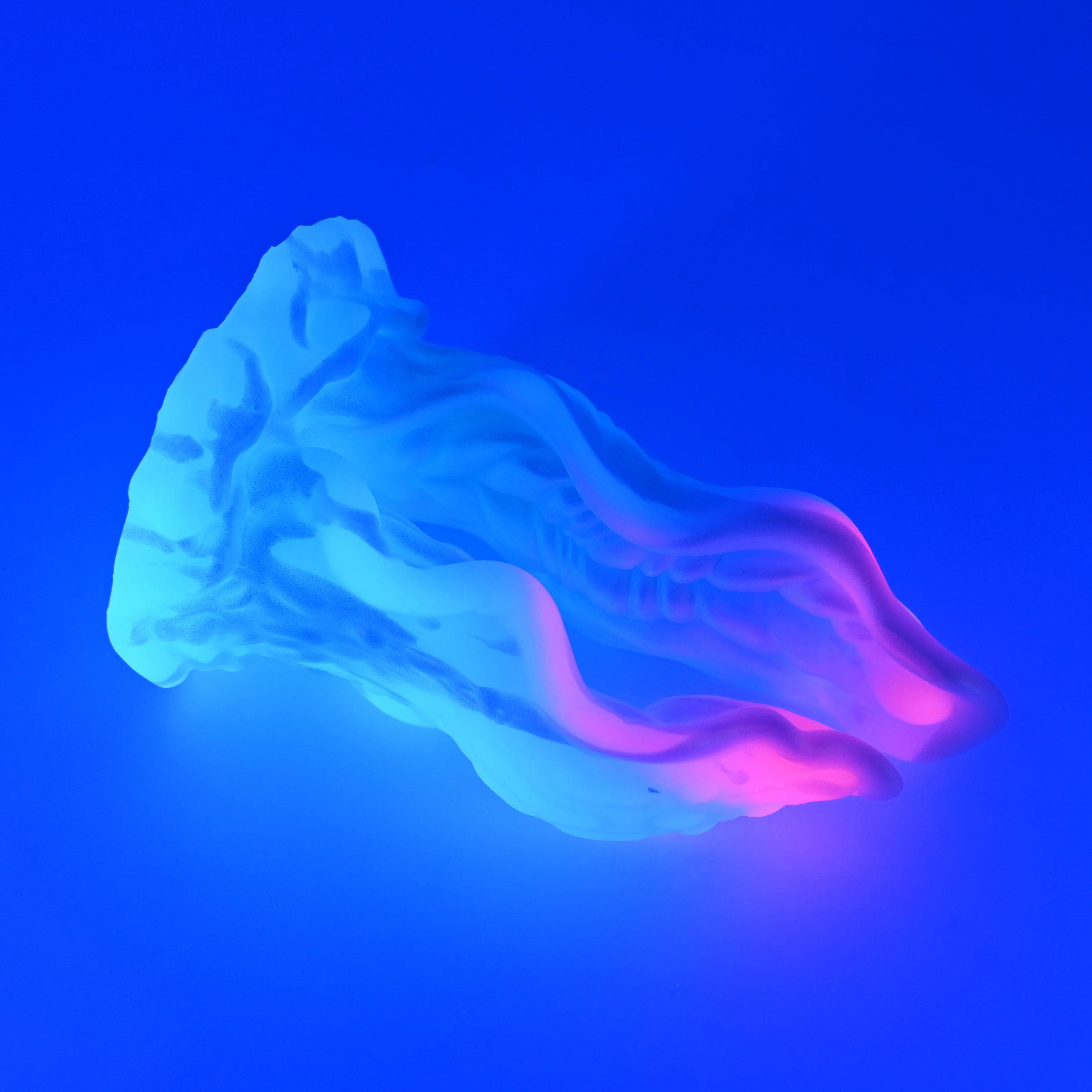 A4MJZ24 Alara Large 0050 UV GITD CS - Image 2