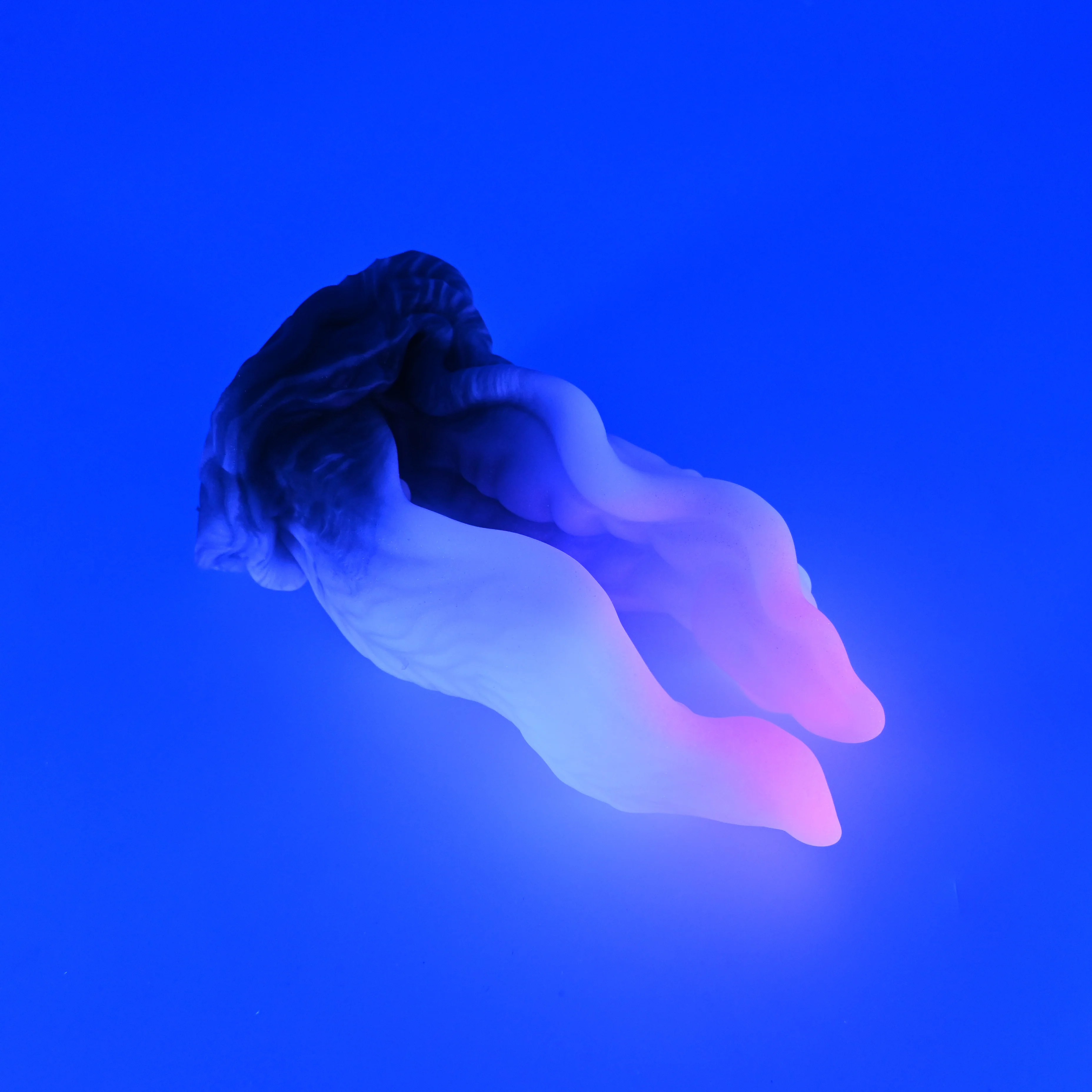 A3SHT38 Alara Medium 0030 UV GITD CS - Image 3