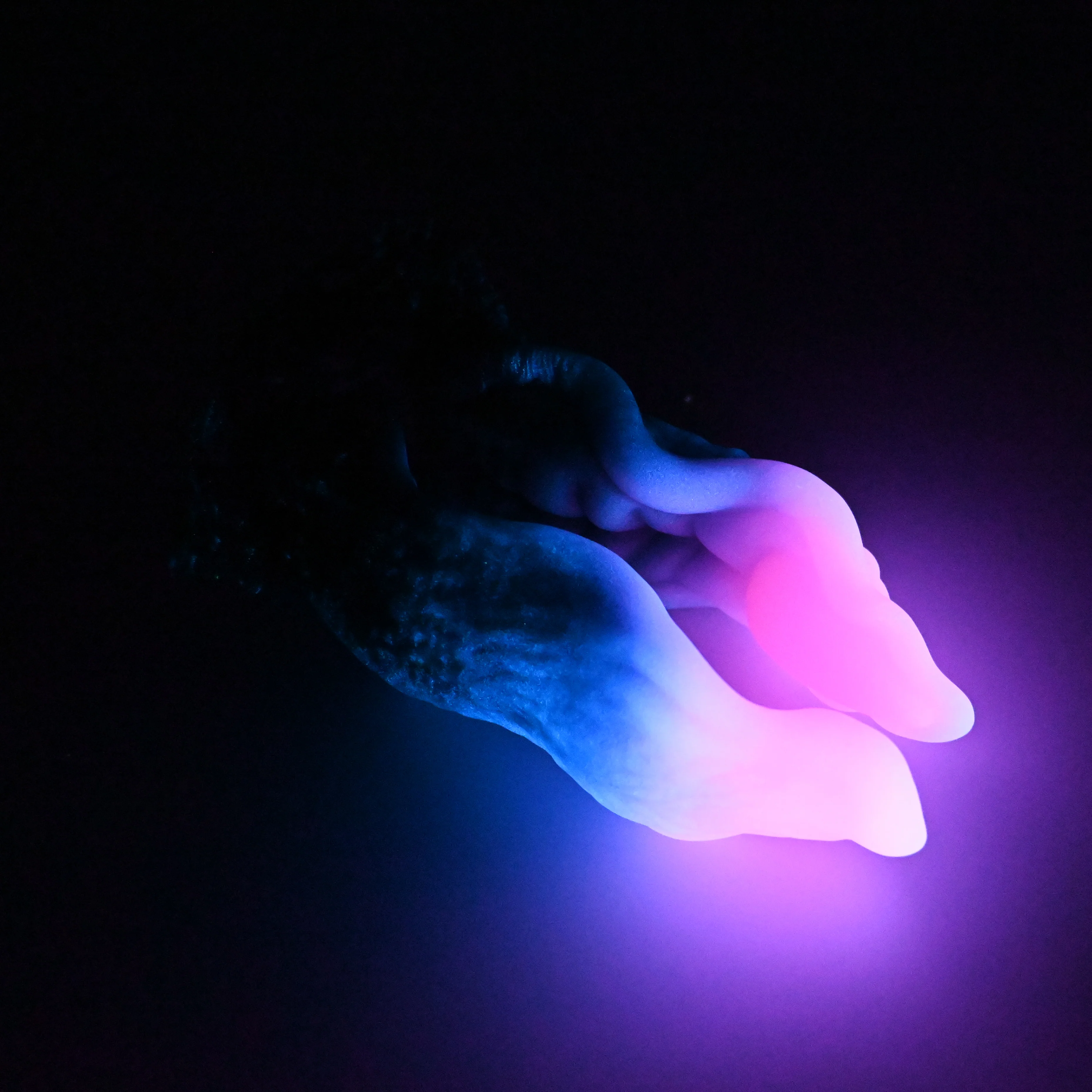 A3MJK93 Alara Medium 0050 UV GITD - Image 4