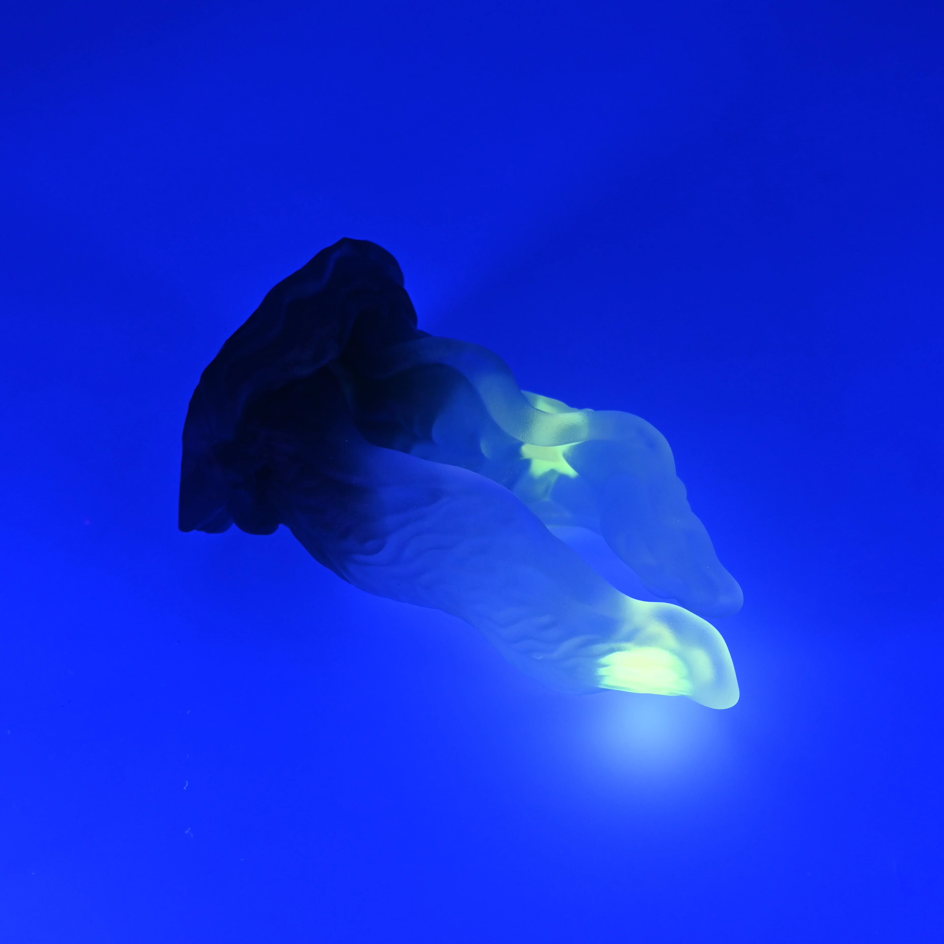 A2TJA36 Alara Small NC 0031 UV GITD CS - Image 3