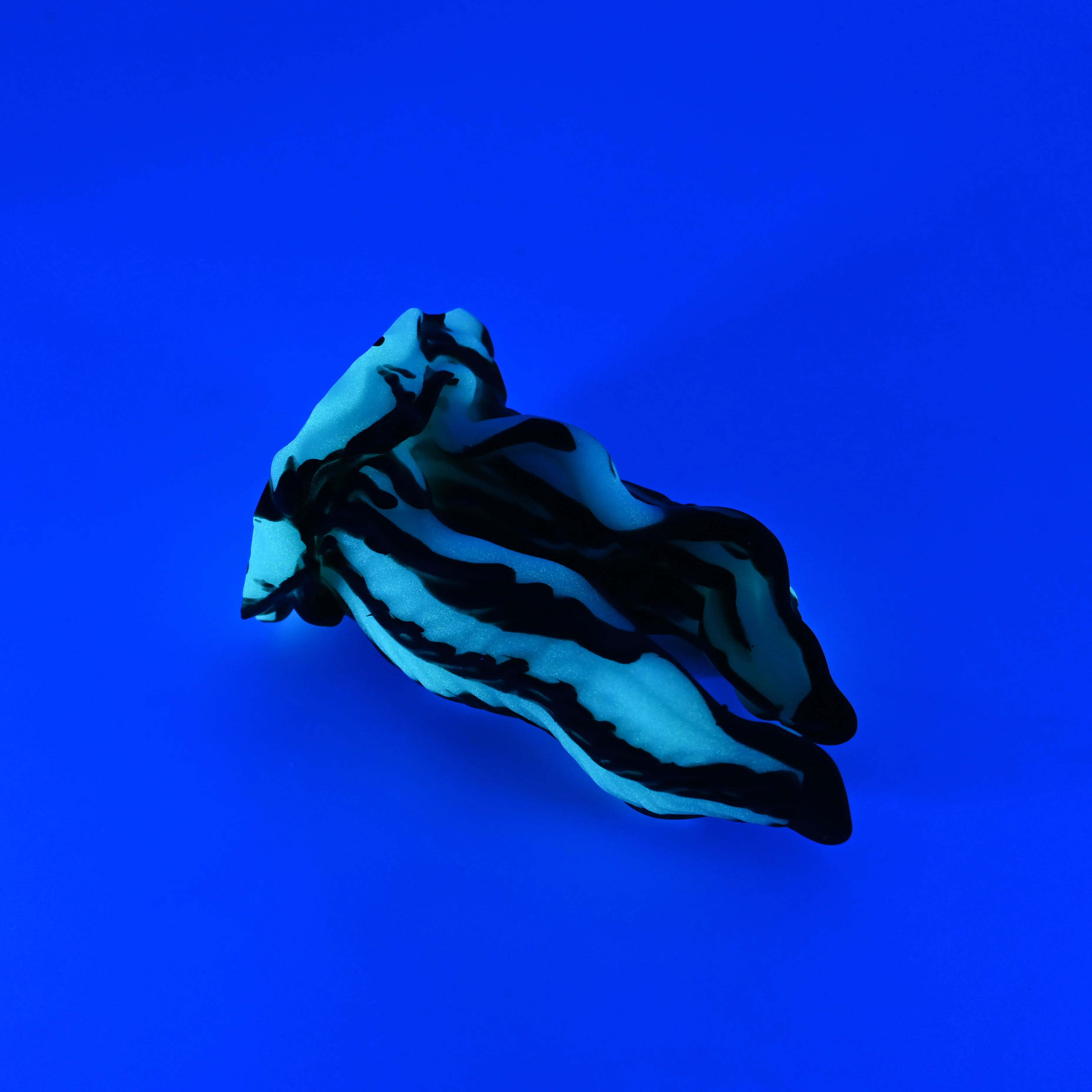 A2XJR33 Alara Small 0020 UV GITD - Image 3