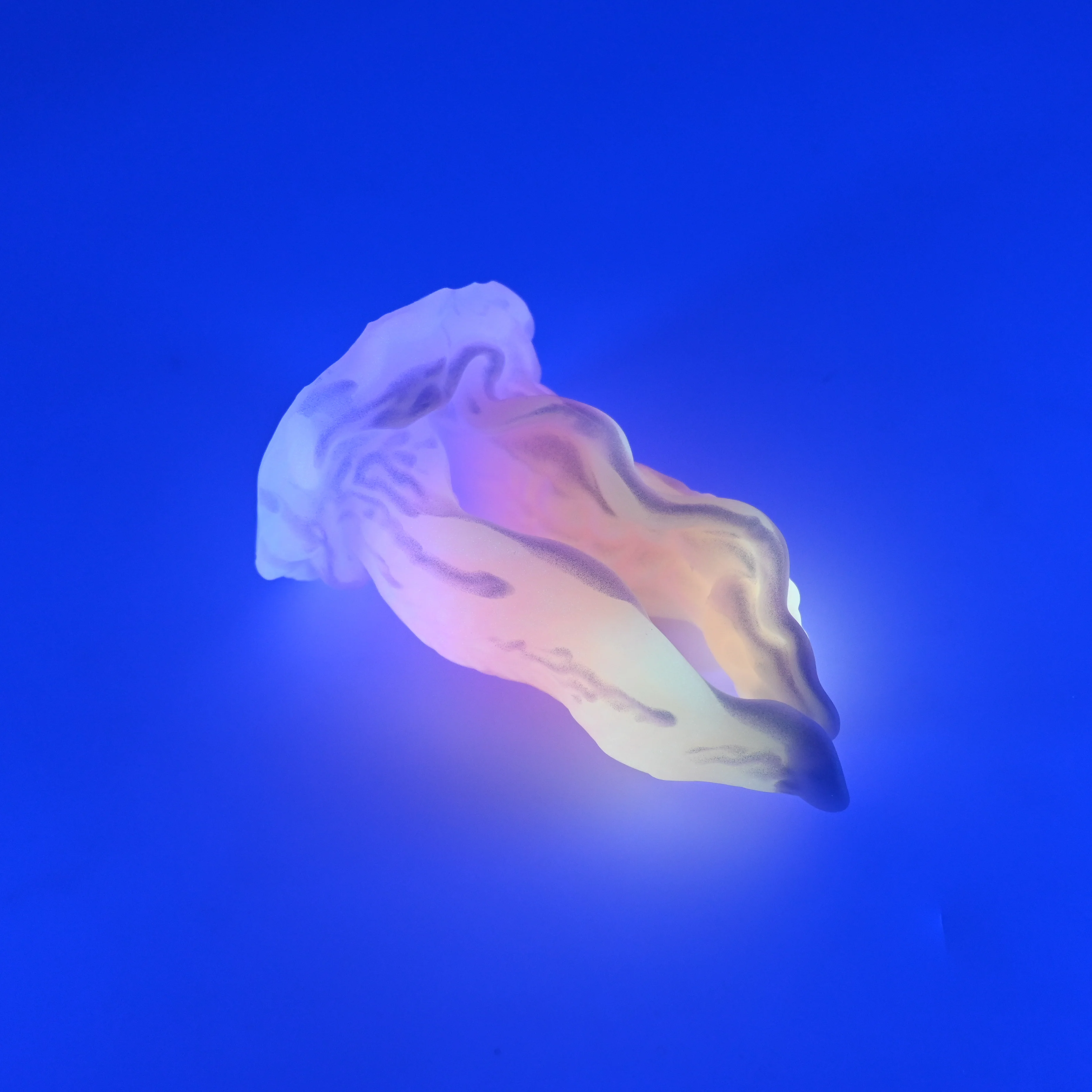 A2SJT39 Alara Small 0030 UV GITD CS - Image 3