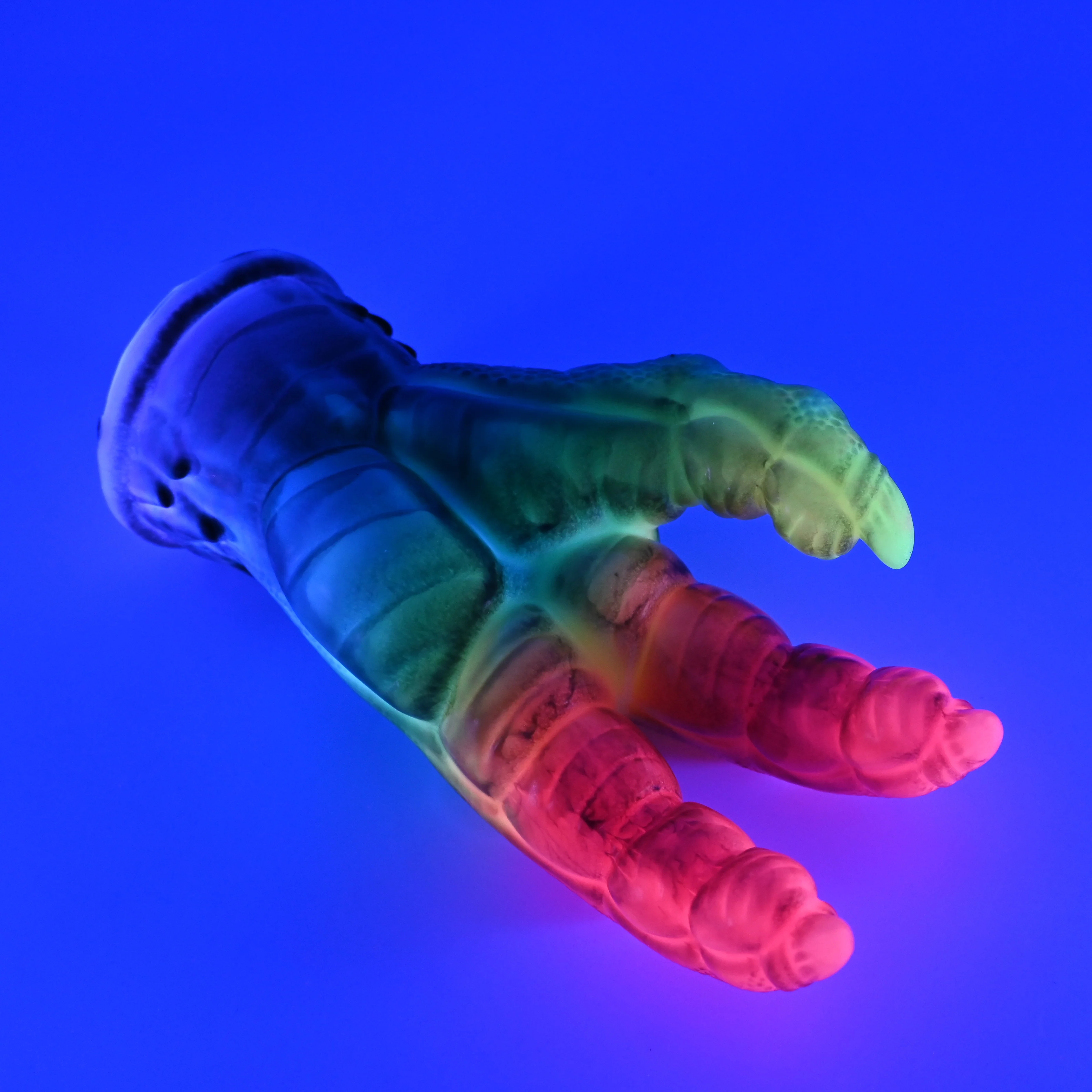 L3SHM54 Altair Medium 0030 UV GITD - Image 3
