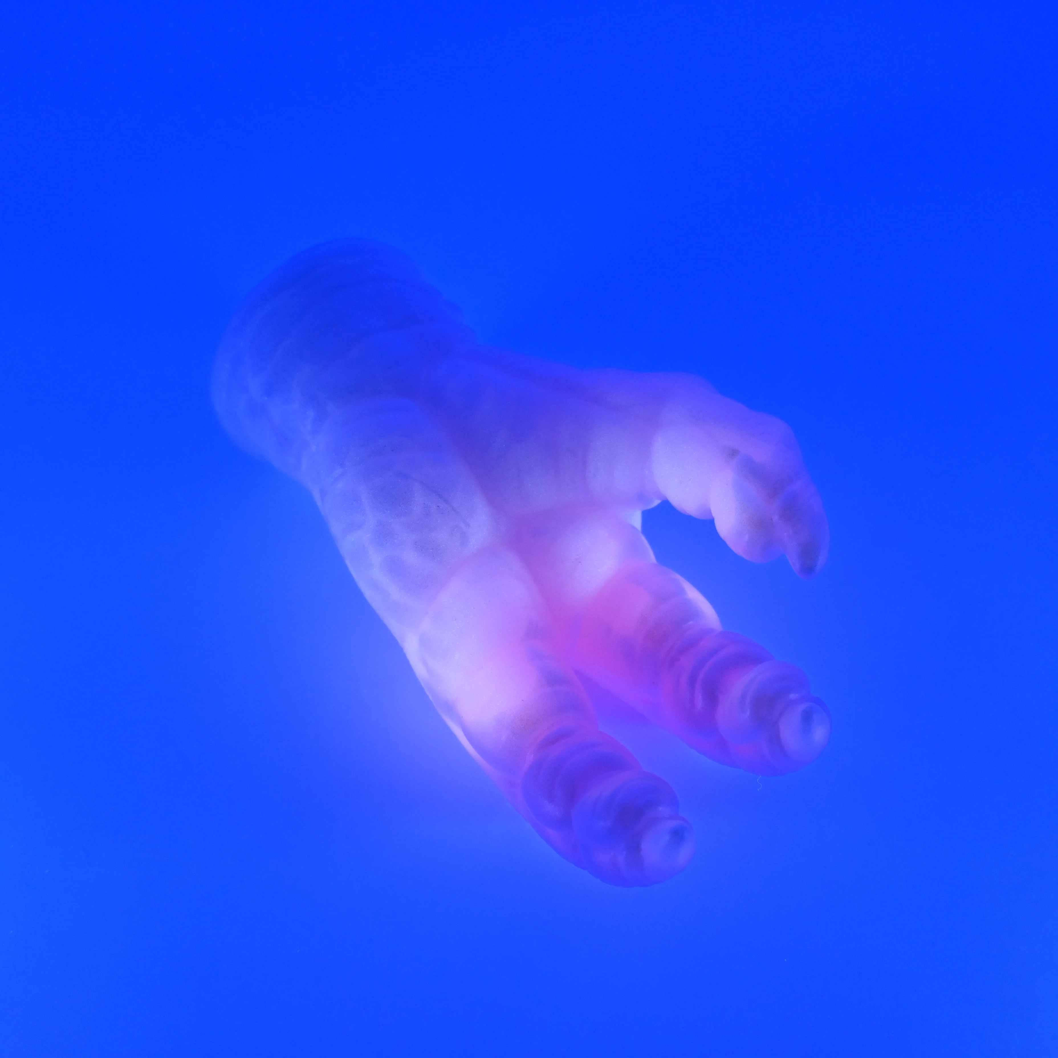 L2MHJ65 Altair Small 0050 UV GITD - Image 3