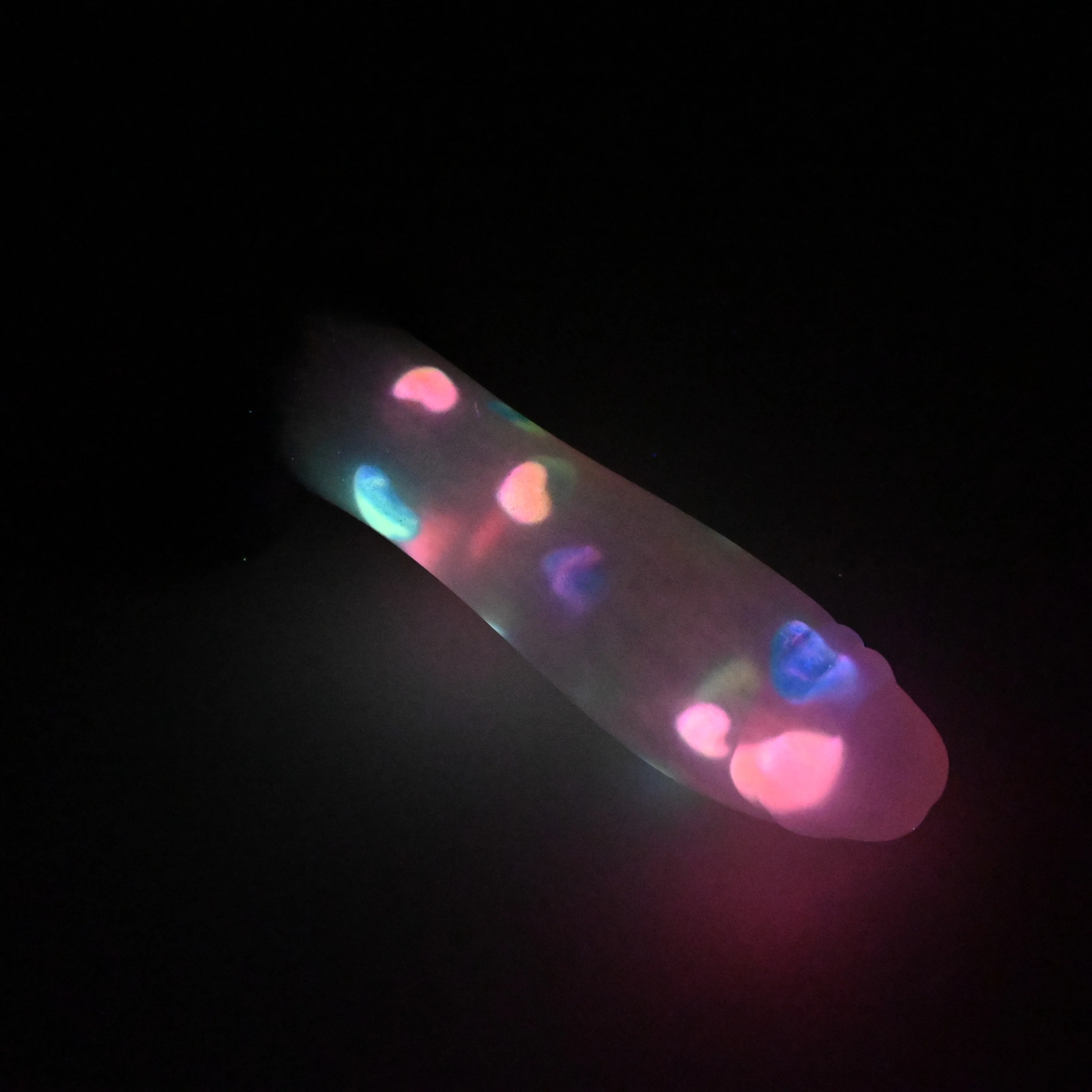 Q3TKA01 Aquus Medium NC 0031 UV GITD CS - Image 4