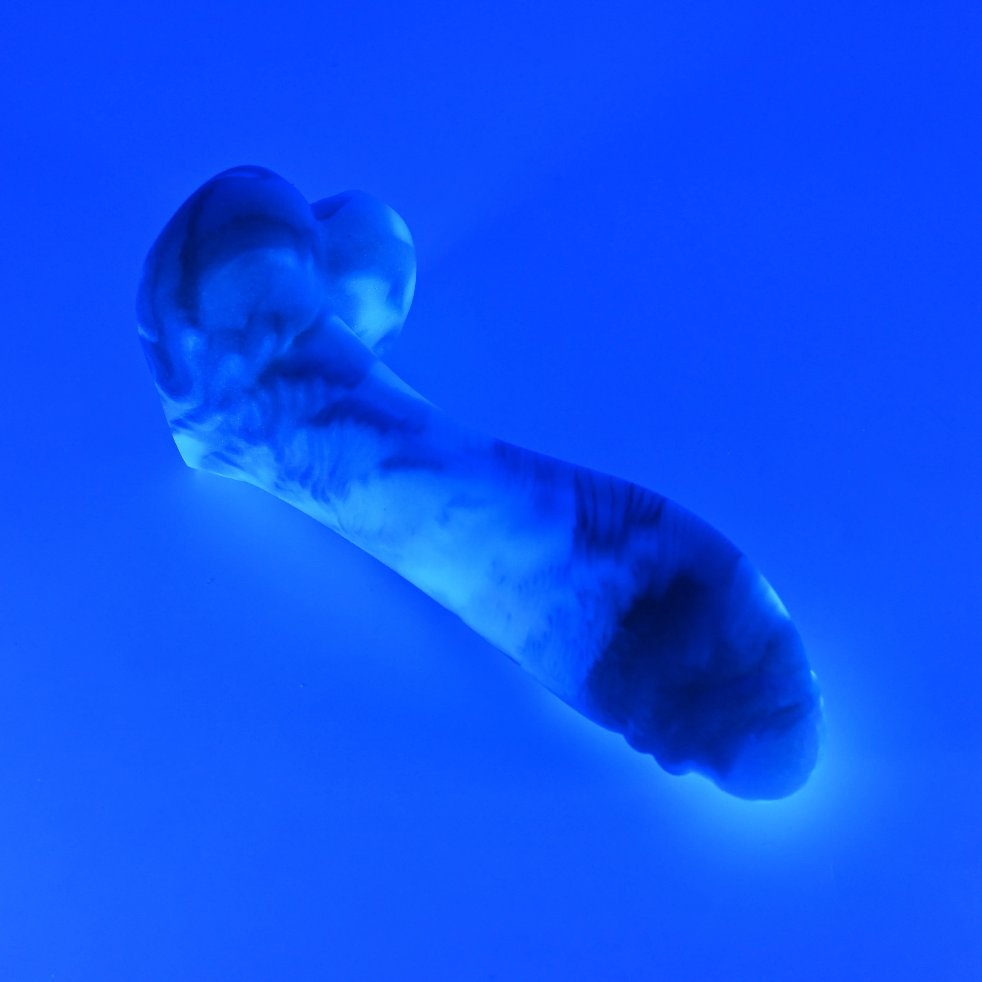 Q3MHV48u Aquus Medium 0030 UV GITD GHU - Image 3