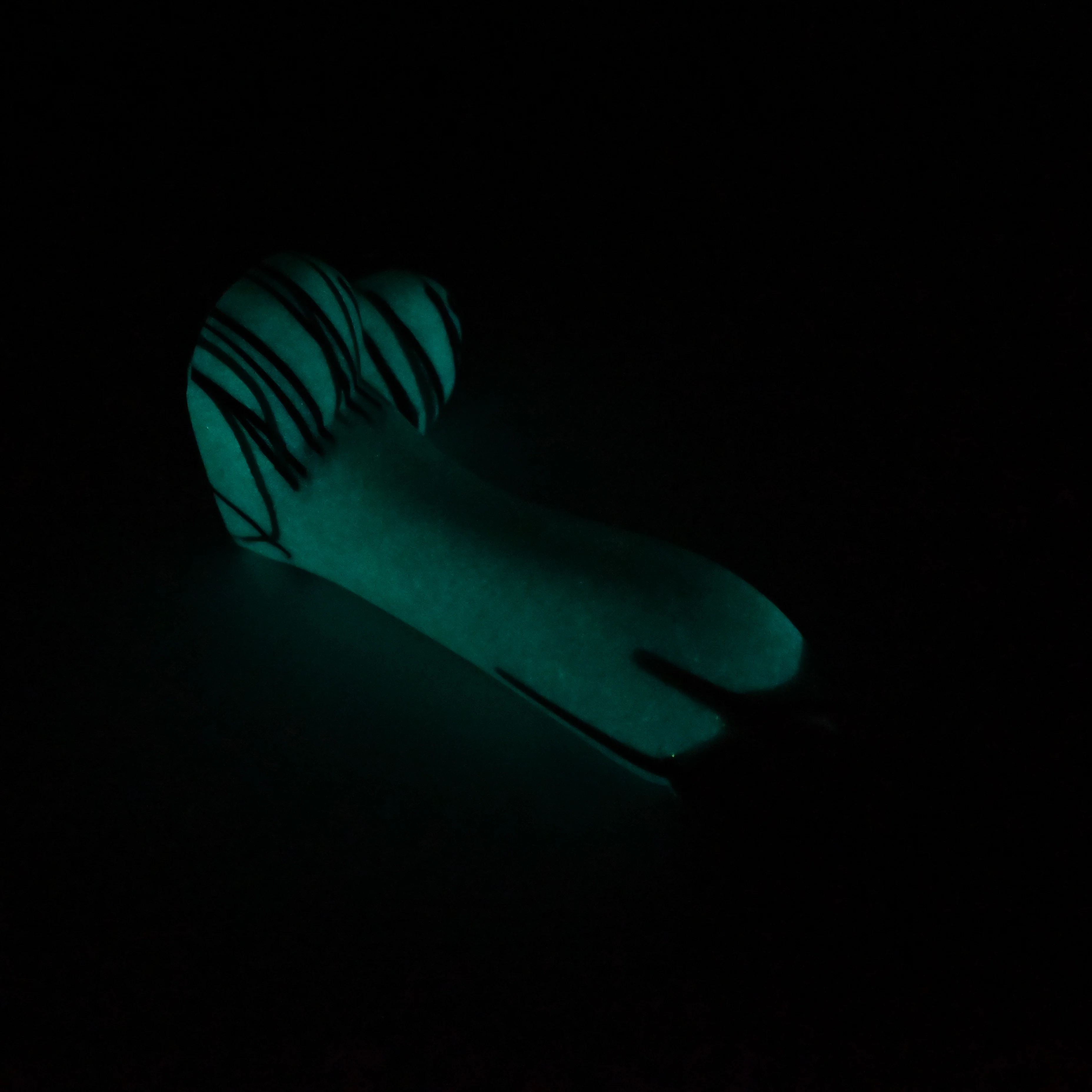 Q2XHZ02 Aquus Small 0020 UV GITD - Image 4
