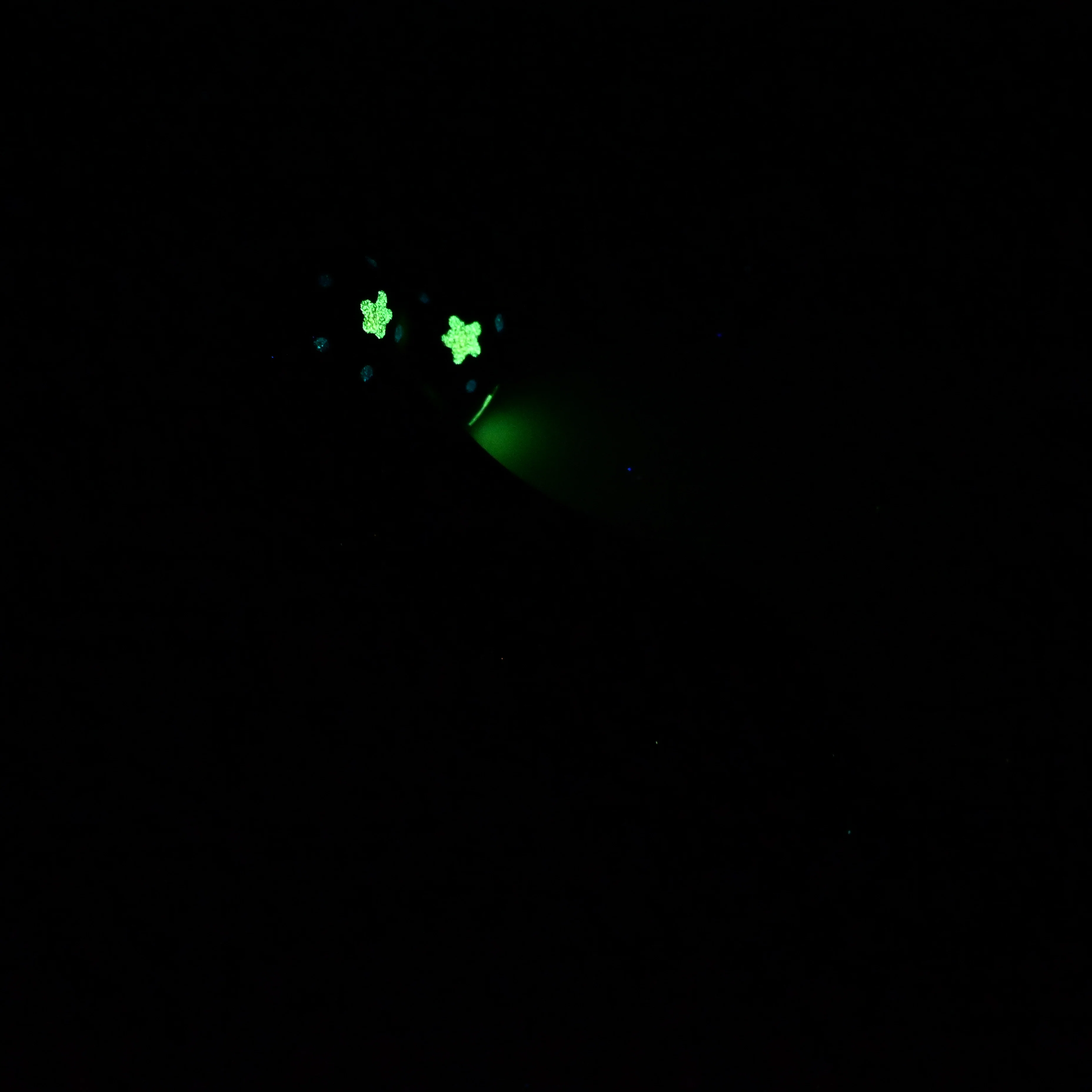 Q2SJZ94 Aquus Small 0030 UV GITD CS - Image 4