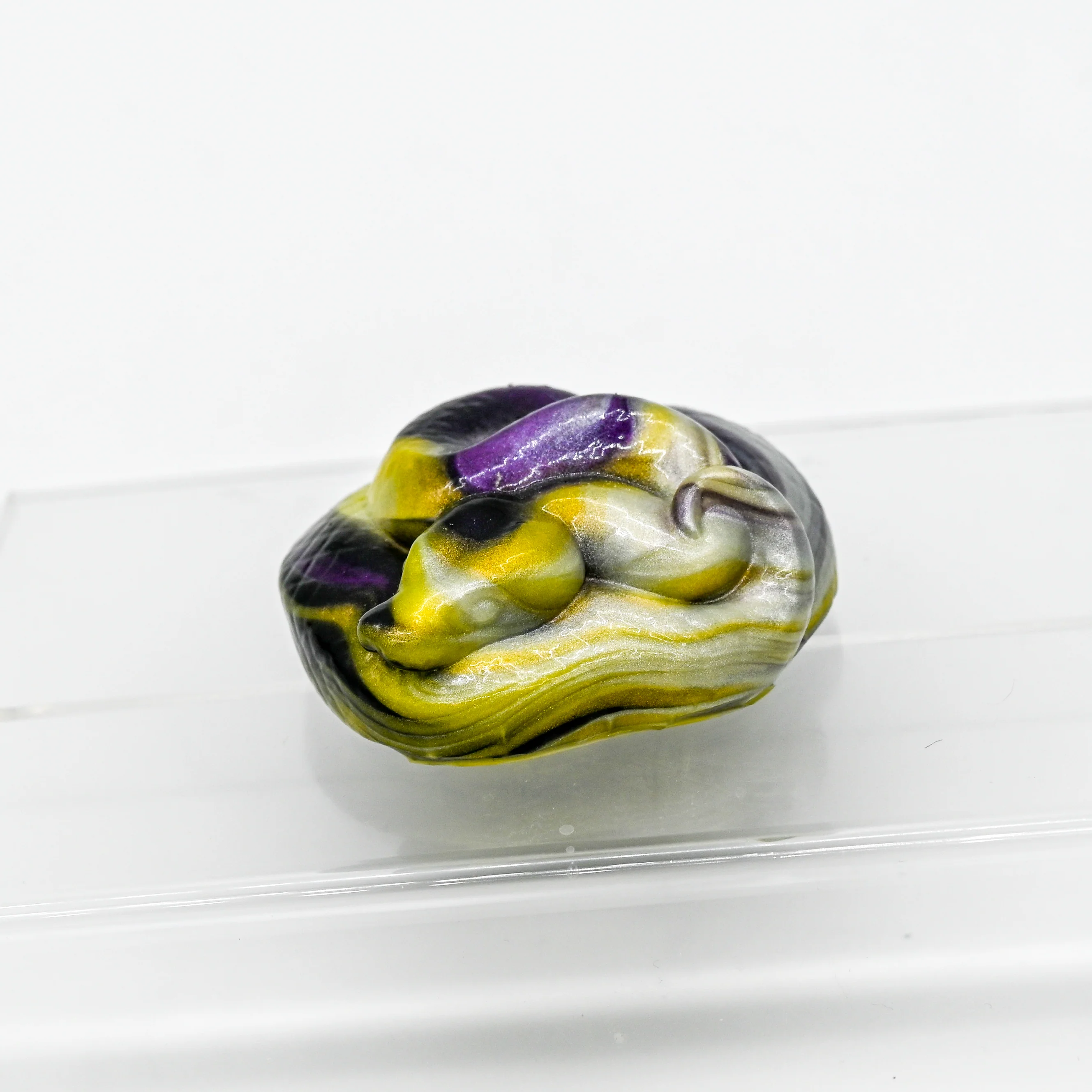 Ball Python Squish 0030