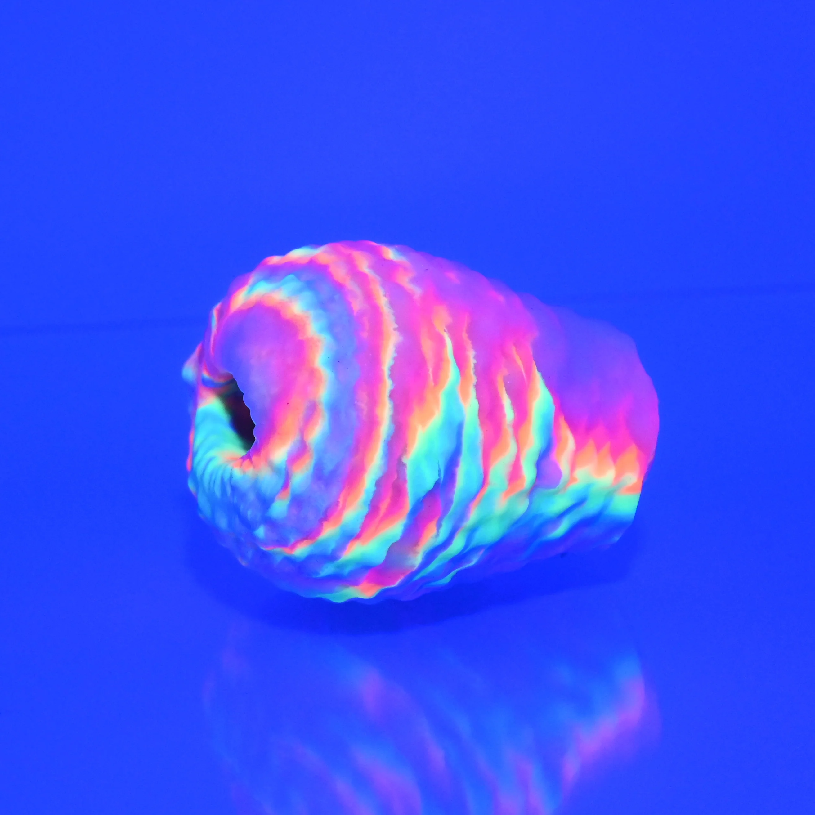 C0XAW40 Jackie O/S Super Soft UV GITD - Image 2