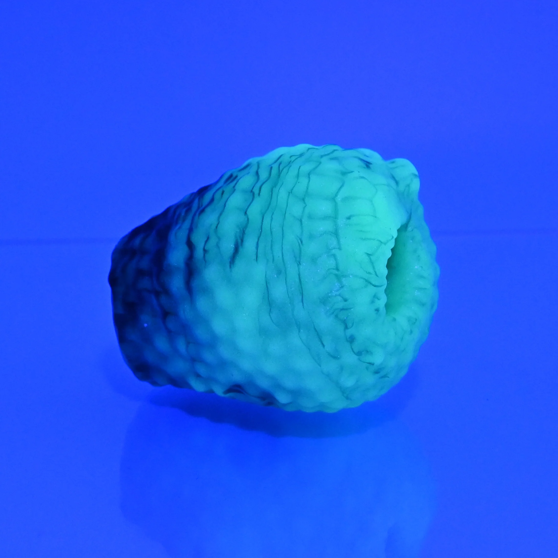 C0XAW51 Jackie O/S Super Soft UV - Image 2