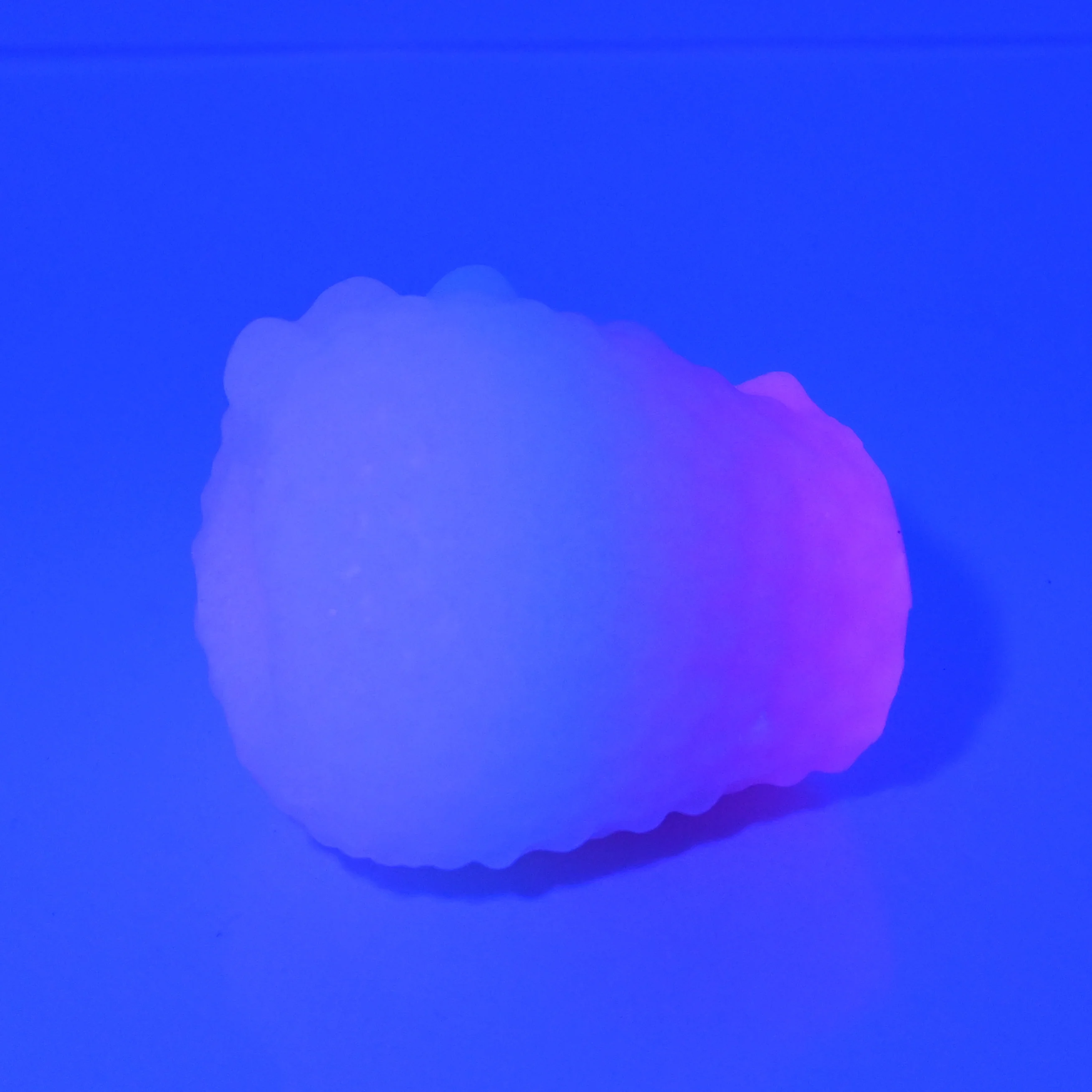 C0XAX37 Jackie O/S Super Soft UV GITD - Image 2