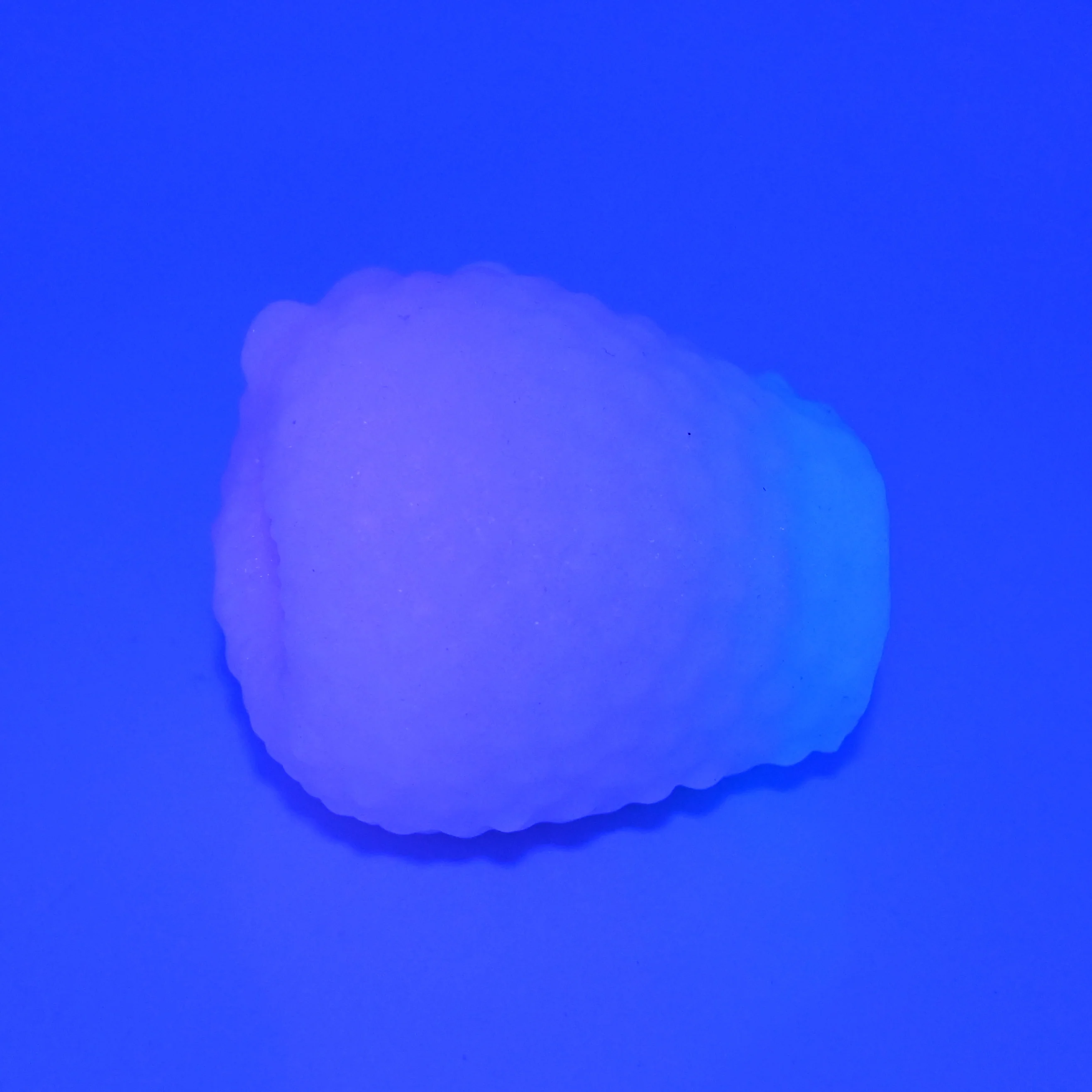 C0XAY58 Jackie O/S Super Soft UV GITD - Image 2