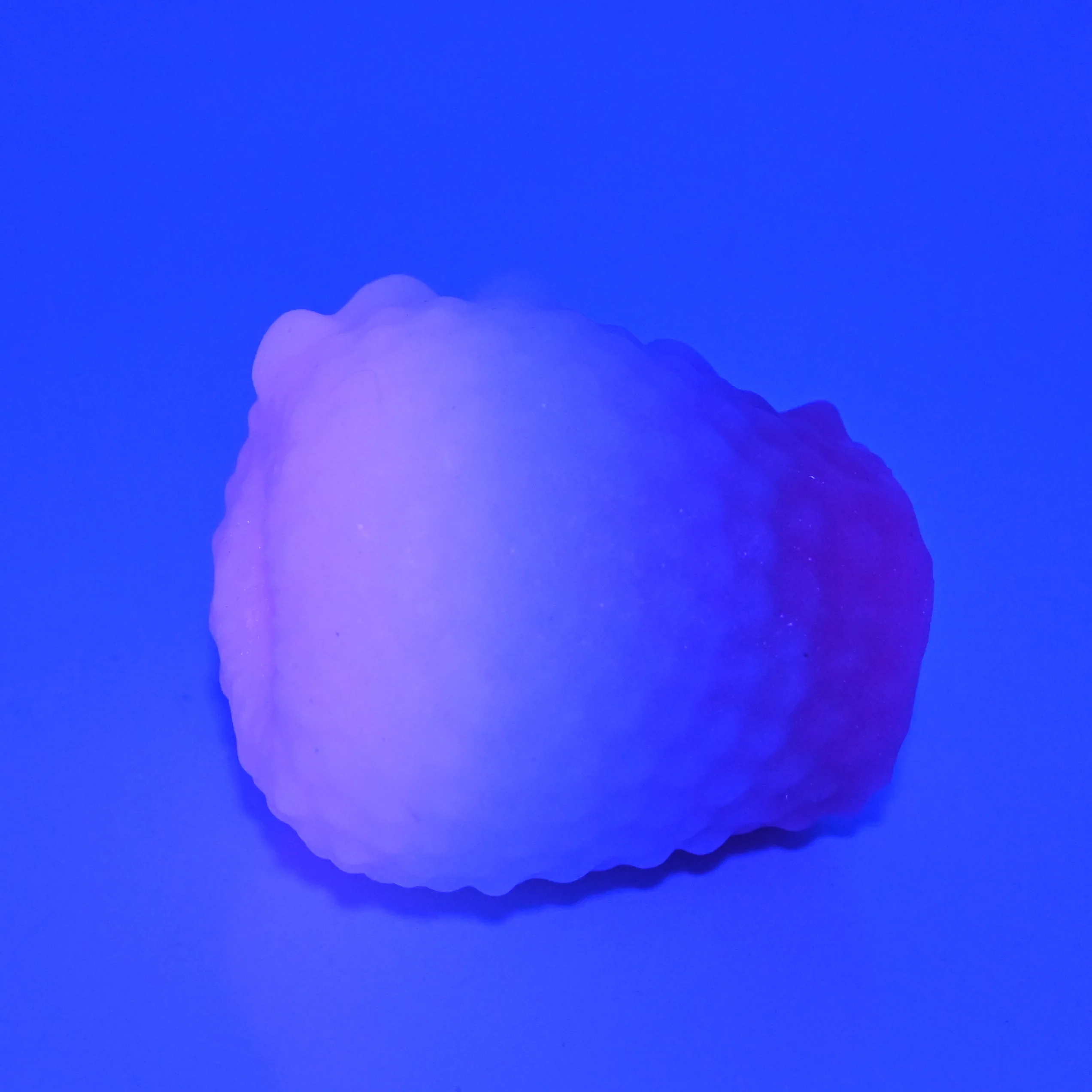 C0XAY66 Jackie O/S Super Soft UV GITD - Image 2