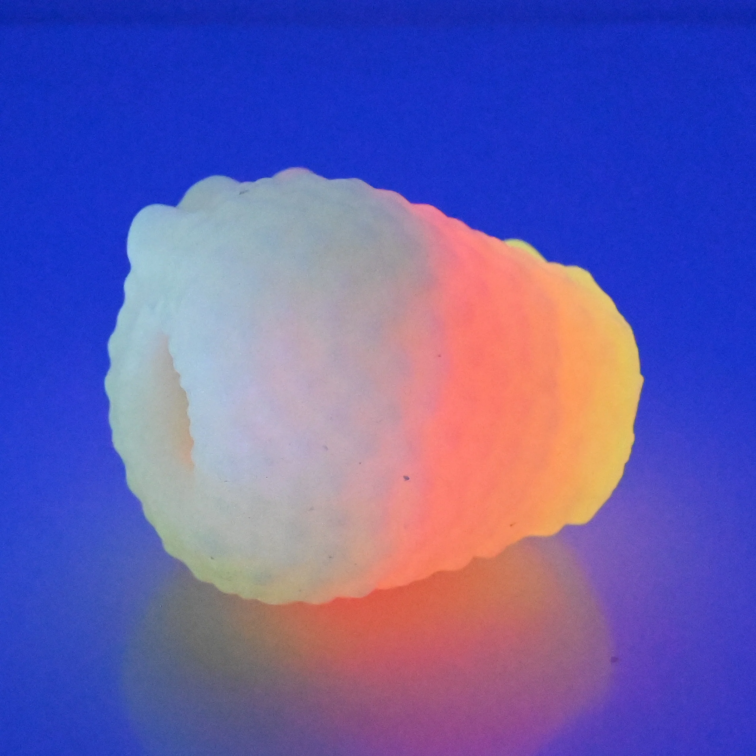 C0XAZ90 Jackie O/S Super Soft UV GITD - Image 3