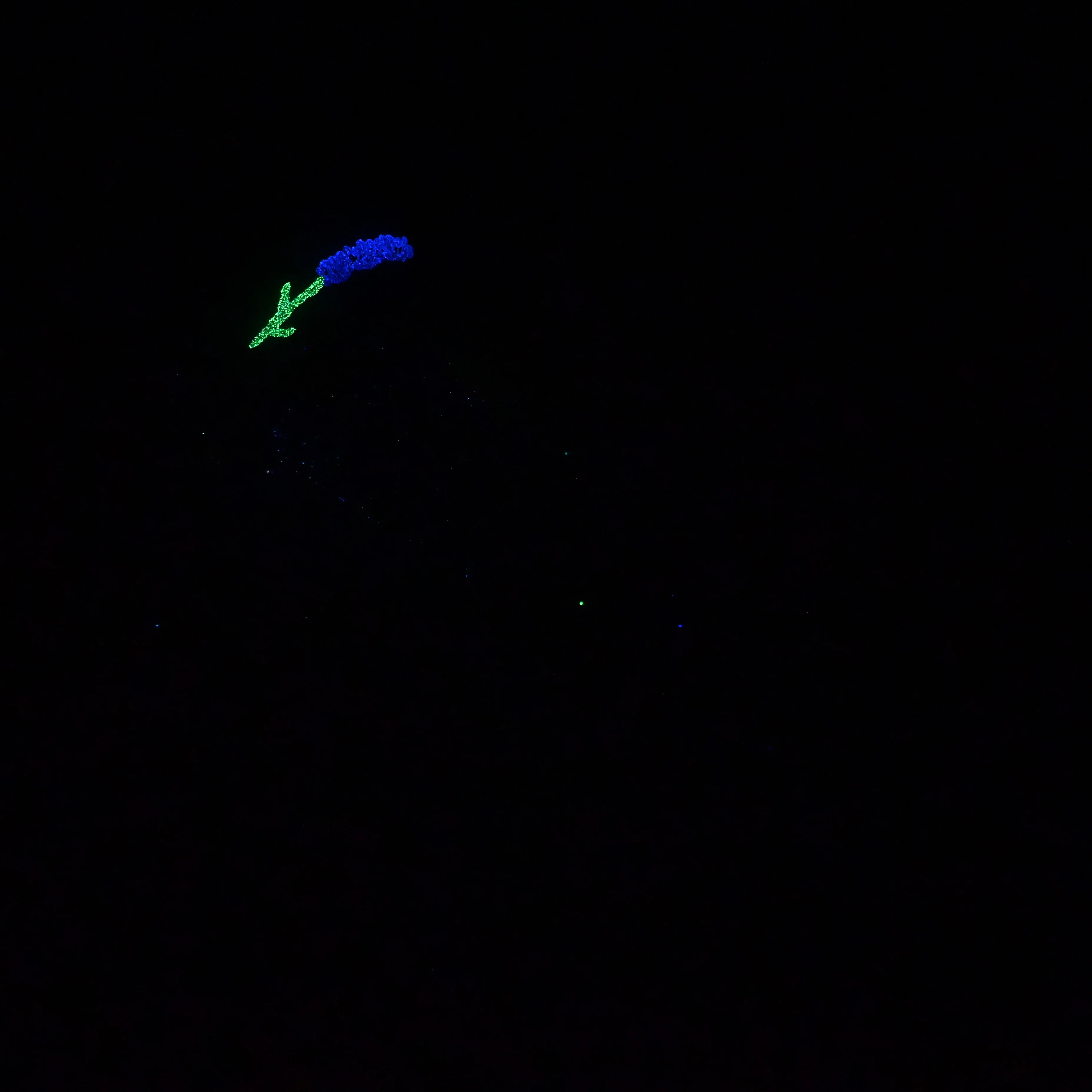 Z4MKC58 Caelus Large 0050 UV GITD GOBLIN HOLE - Image 4