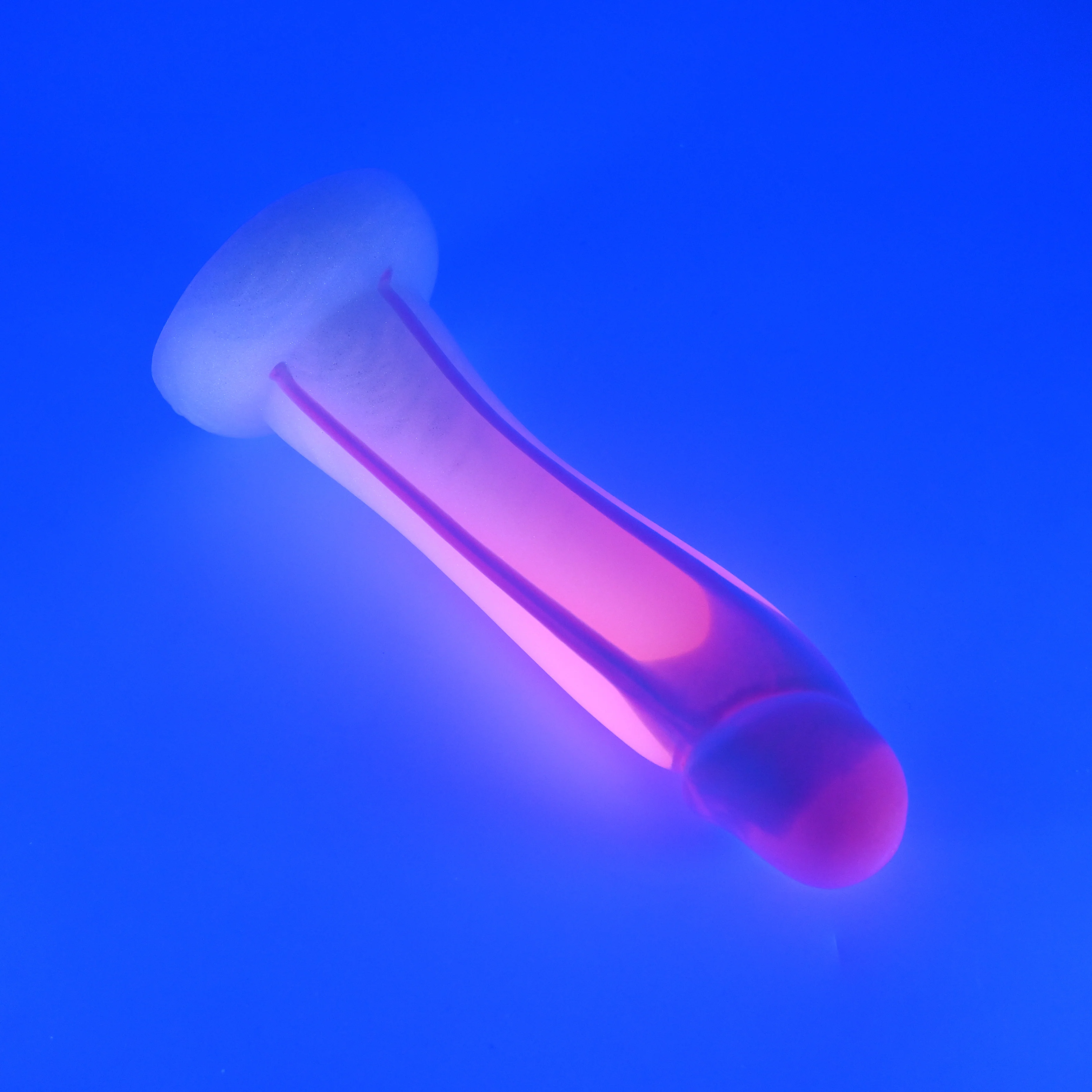 Z3SHU39u Caelus Medium 0030 UV GITD GHU - Image 3
