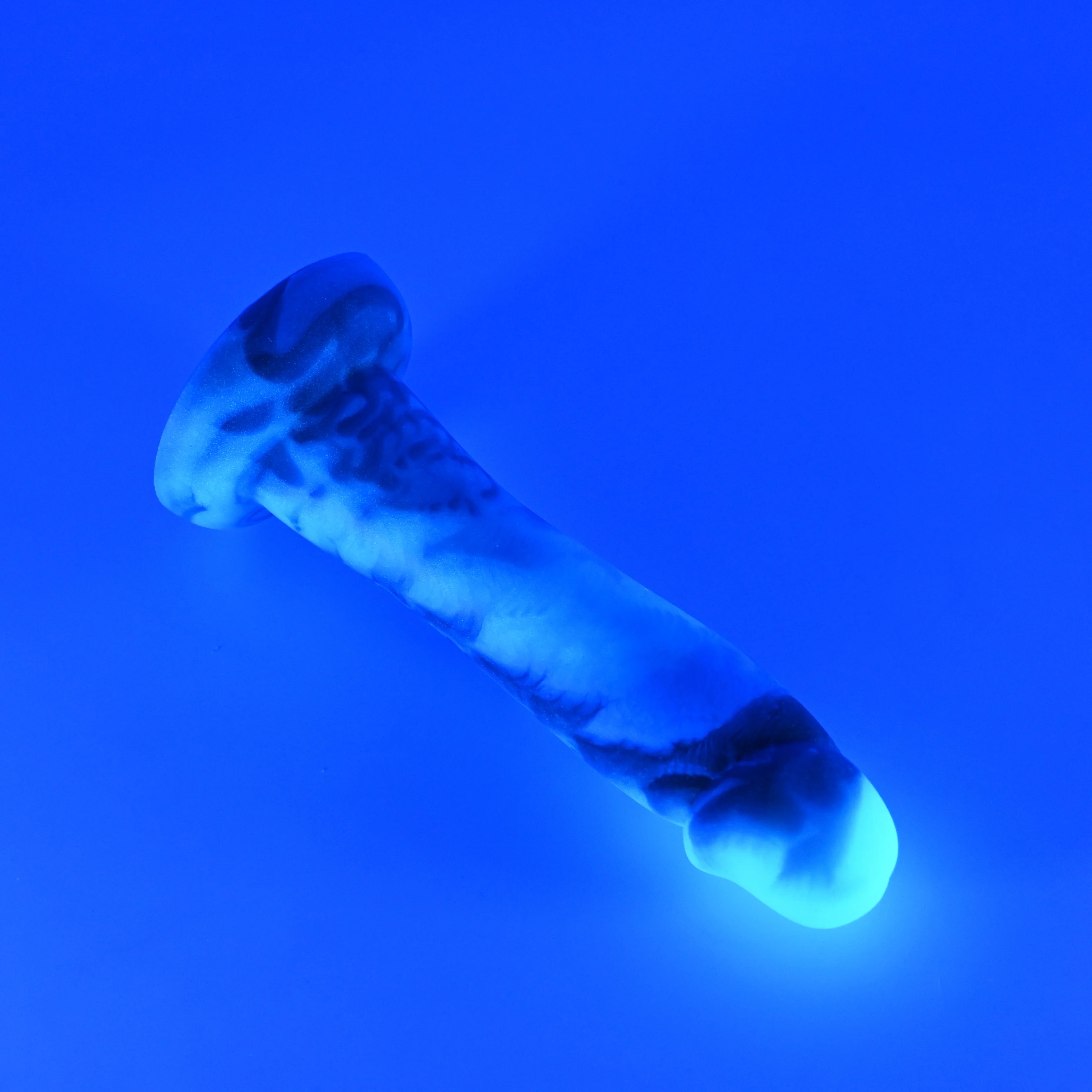 Z2MHV87 Caelus Small 0050 UV GITD - Image 3