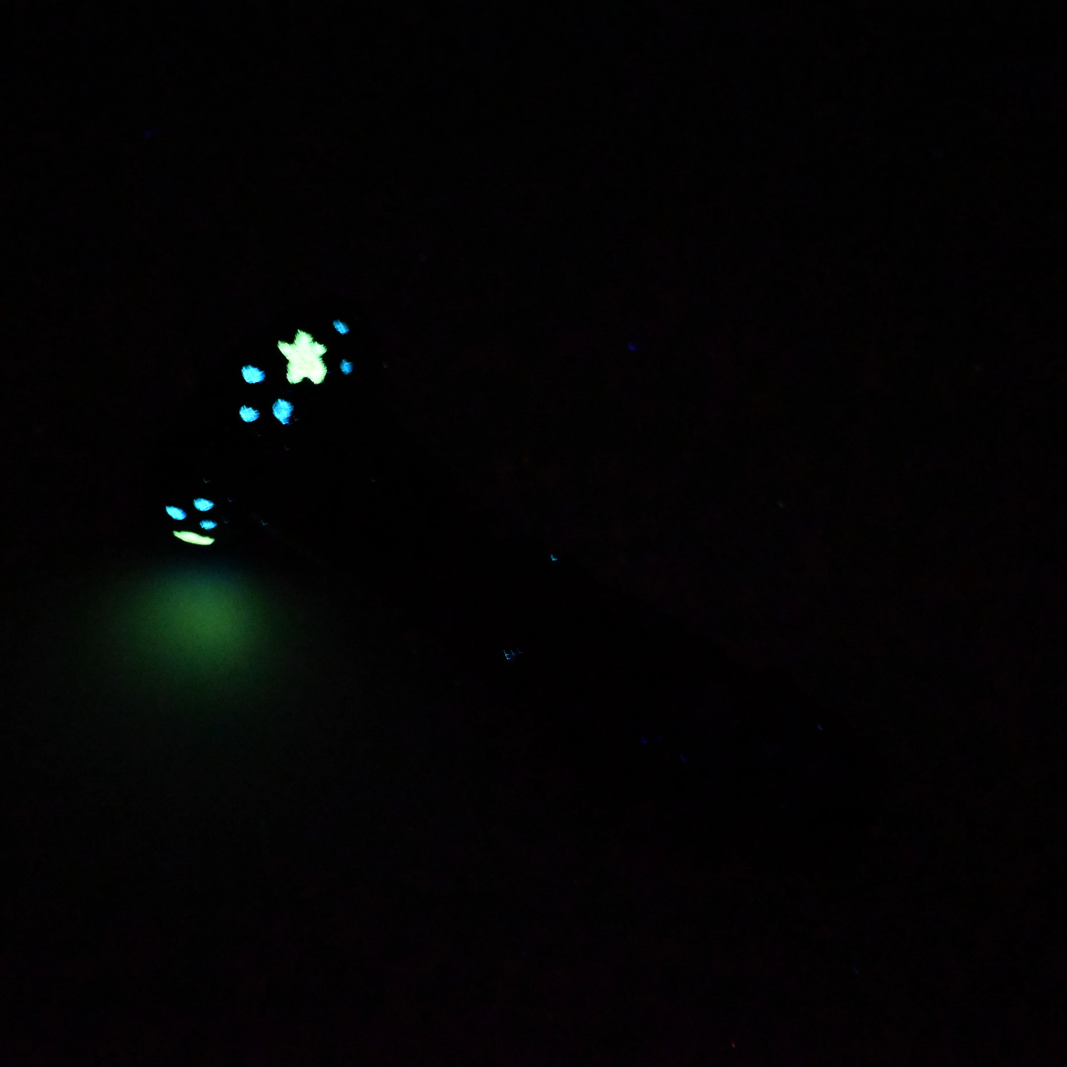 Z2SKA57 Caelus Small 0030 UV GITD CS - Image 4