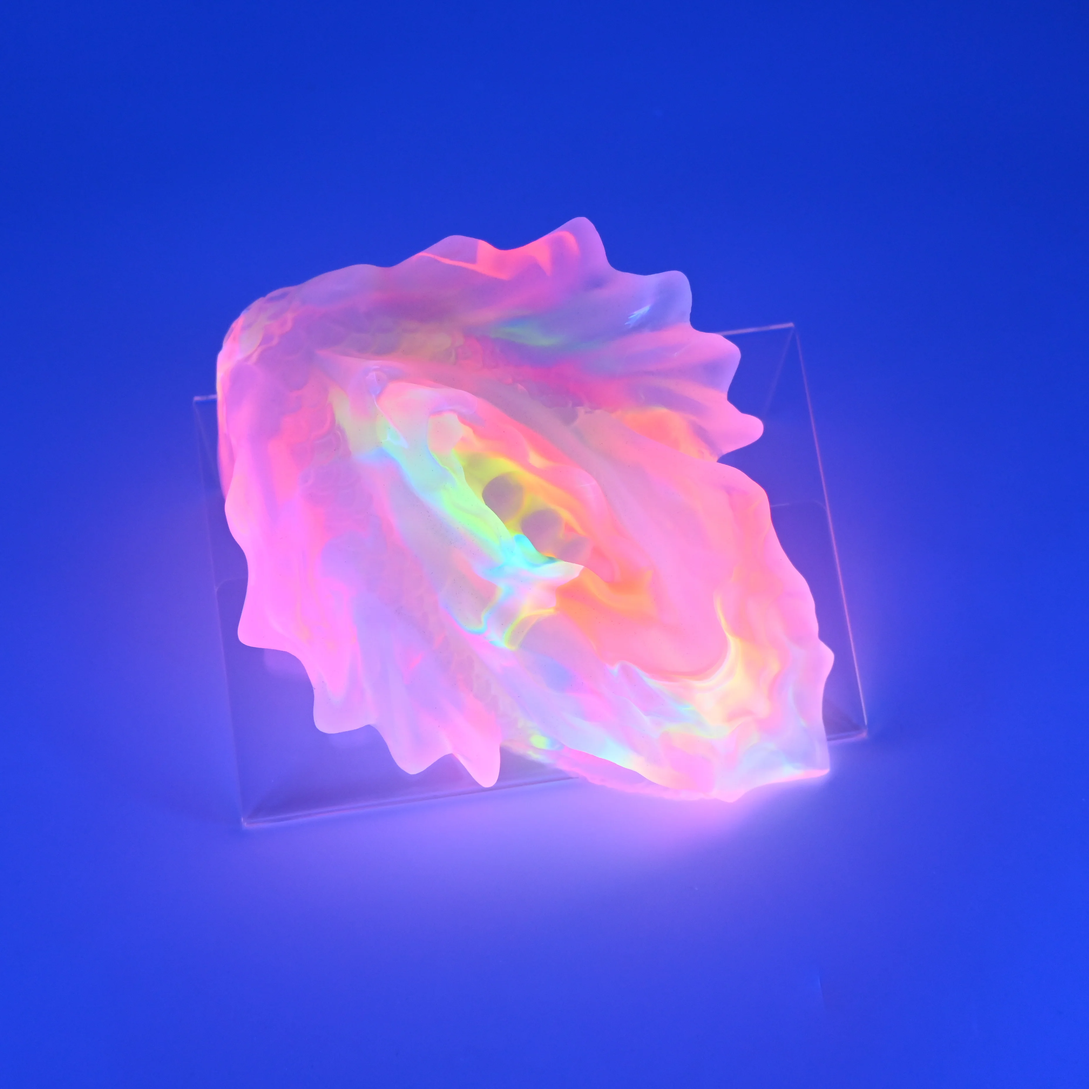 C4THT48 Calypso Large NC 0031 UV CS - Image 2