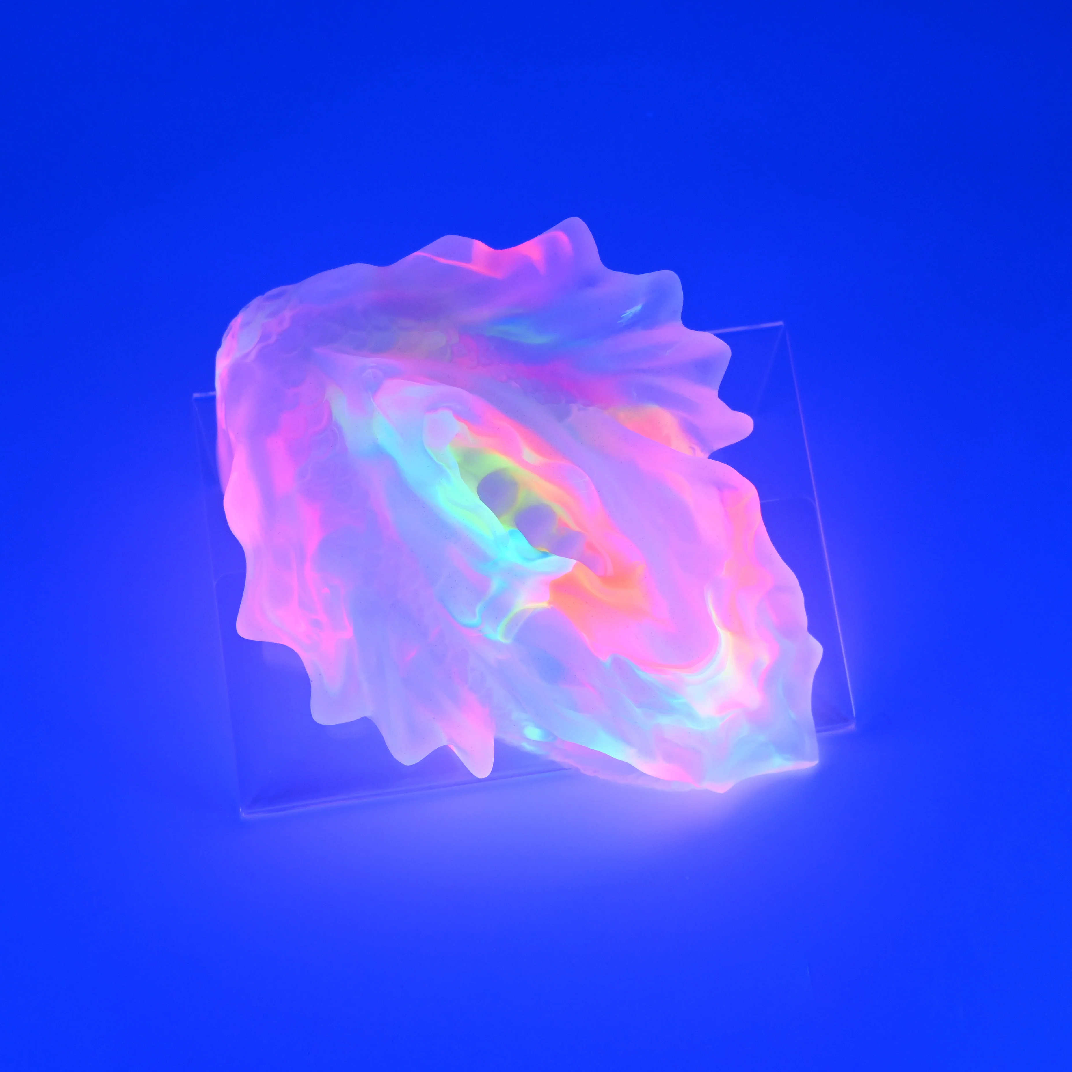 C4THT48 Calypso Large NC 0031 UV CS - Image 3