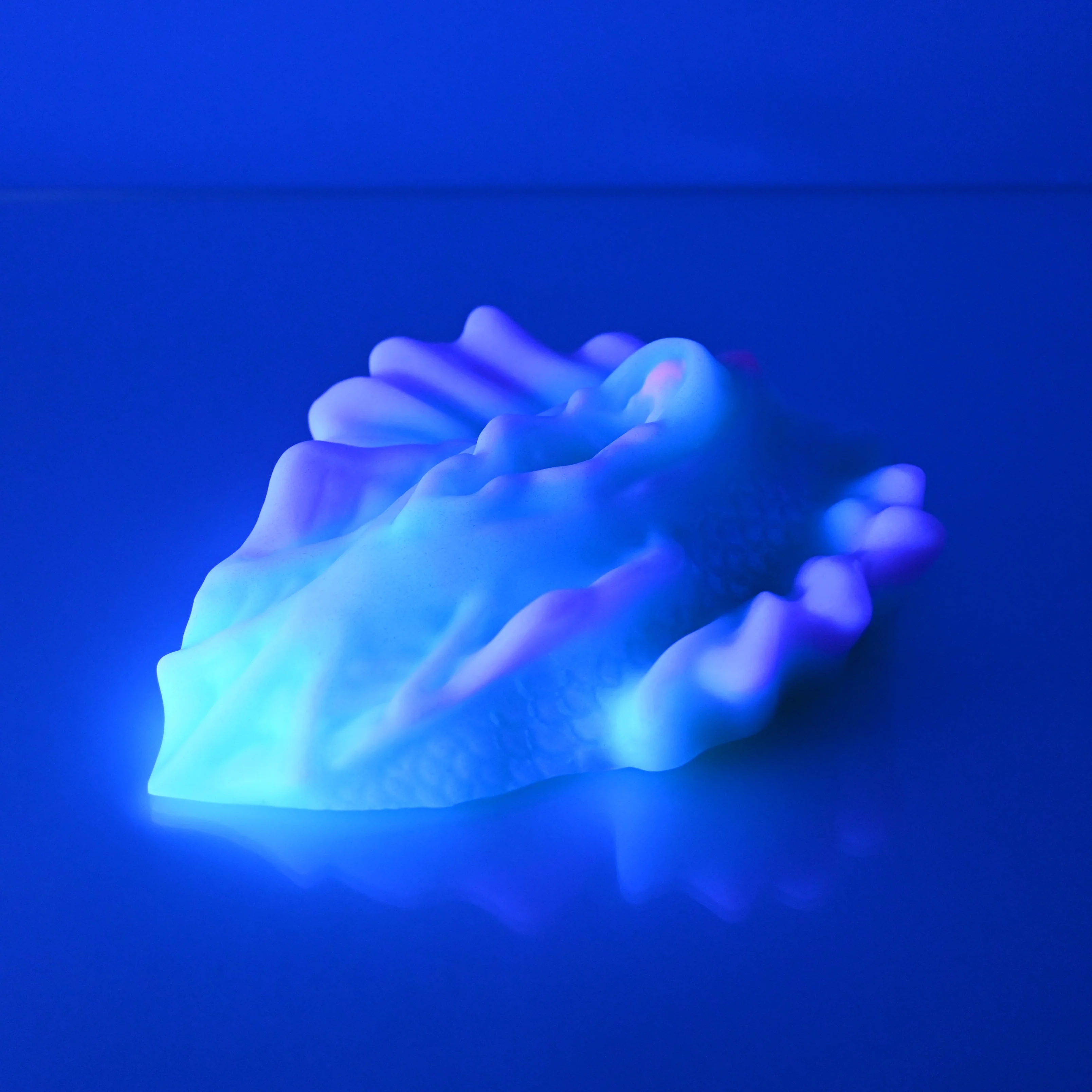 C4SCS30 Calypso Large 0030 UV - Image 3