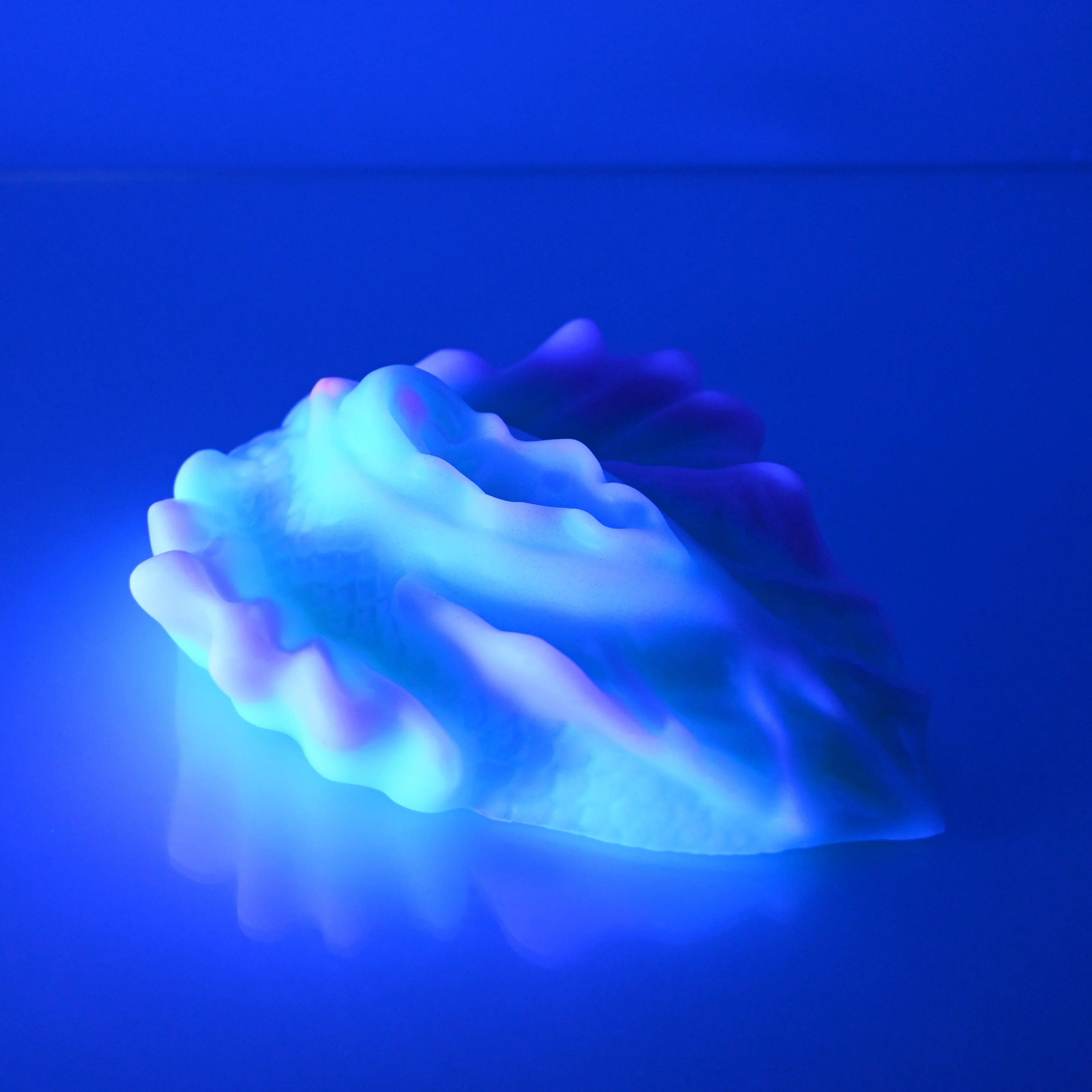 C4SCS30 Calypso Large 0030 UV - Image 4
