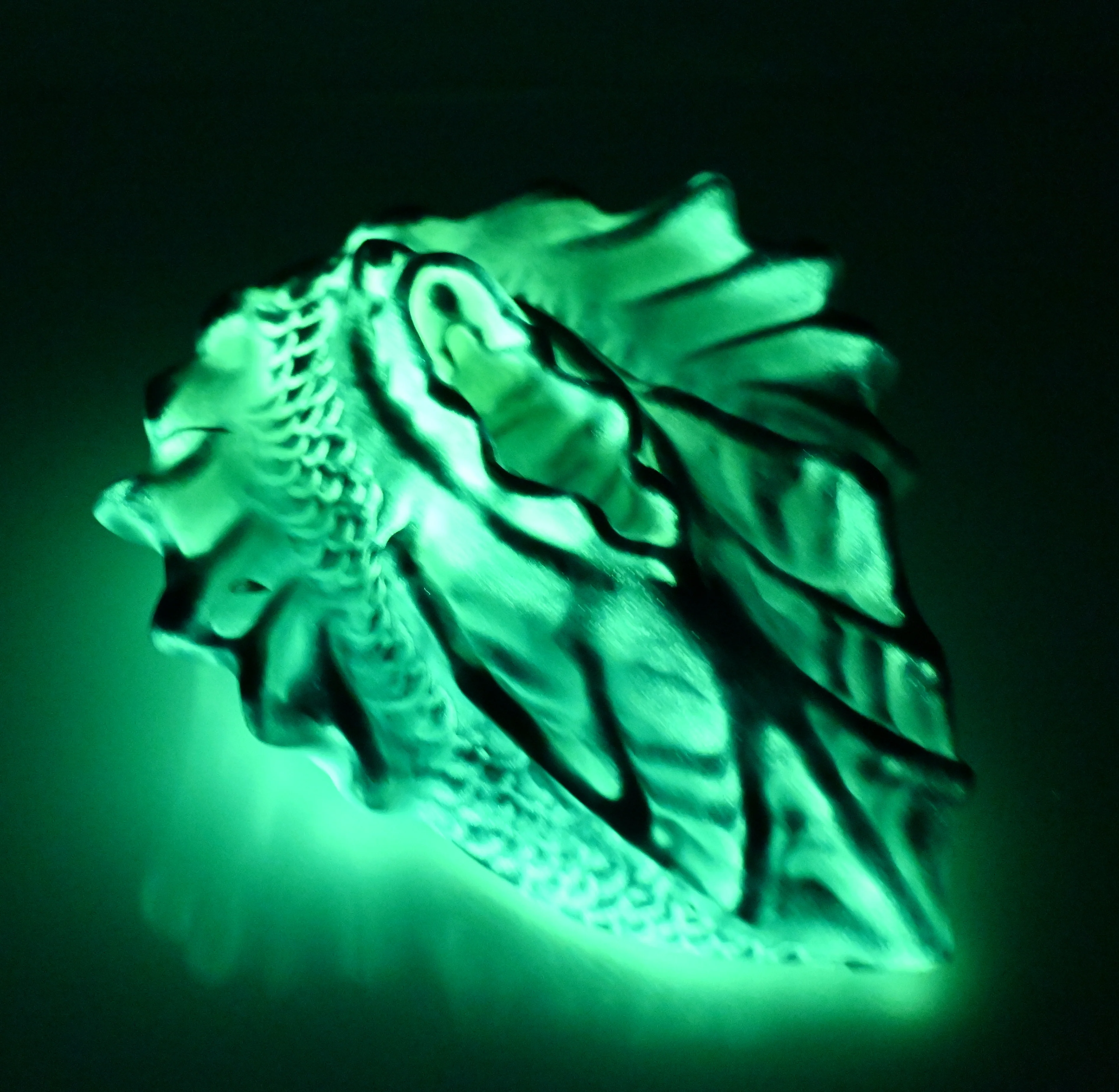 C4SDZ29 Calypso Large 0030 UV GITD - Image 4