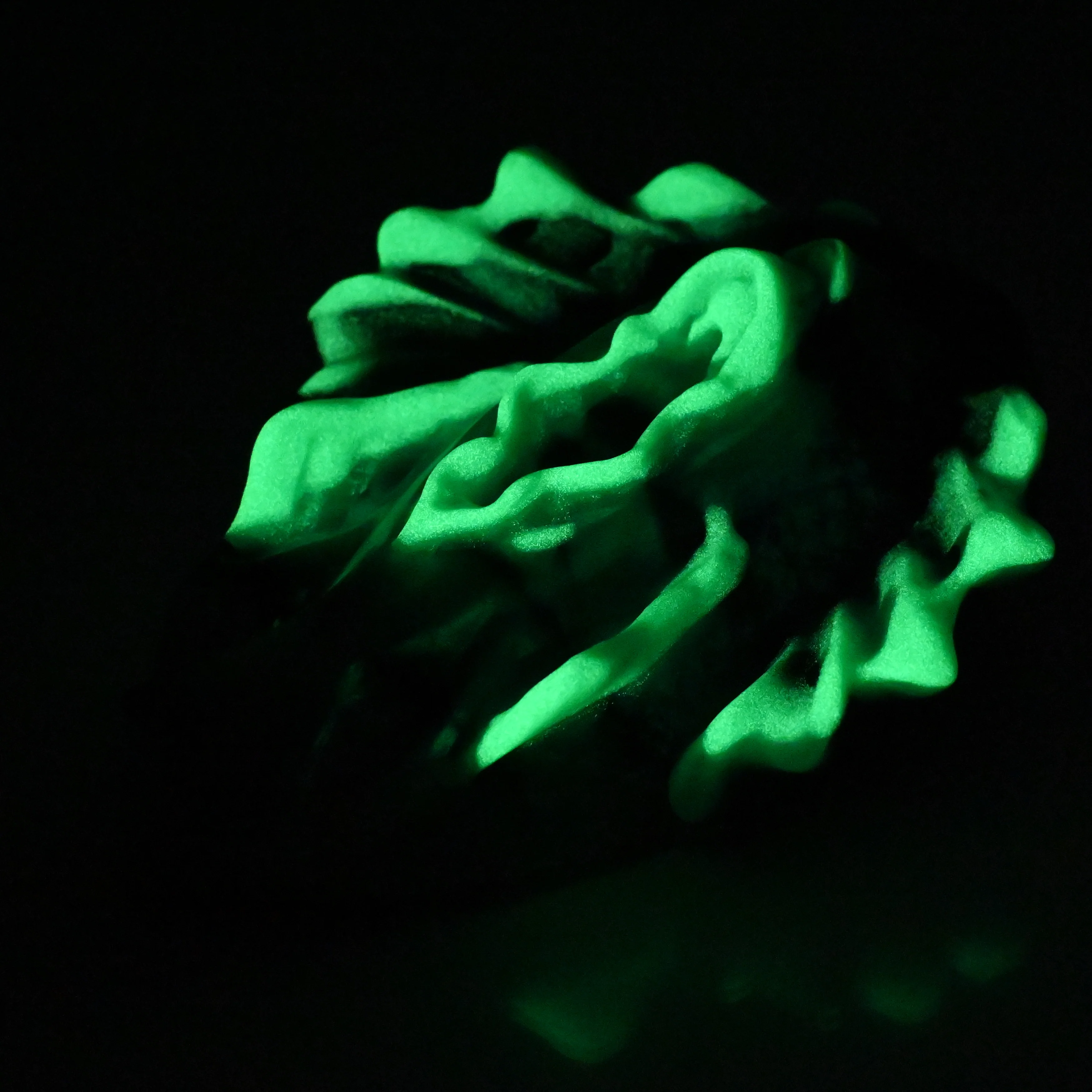 C4MEE08 Calypso Large 0050 UV GITD - Image 4