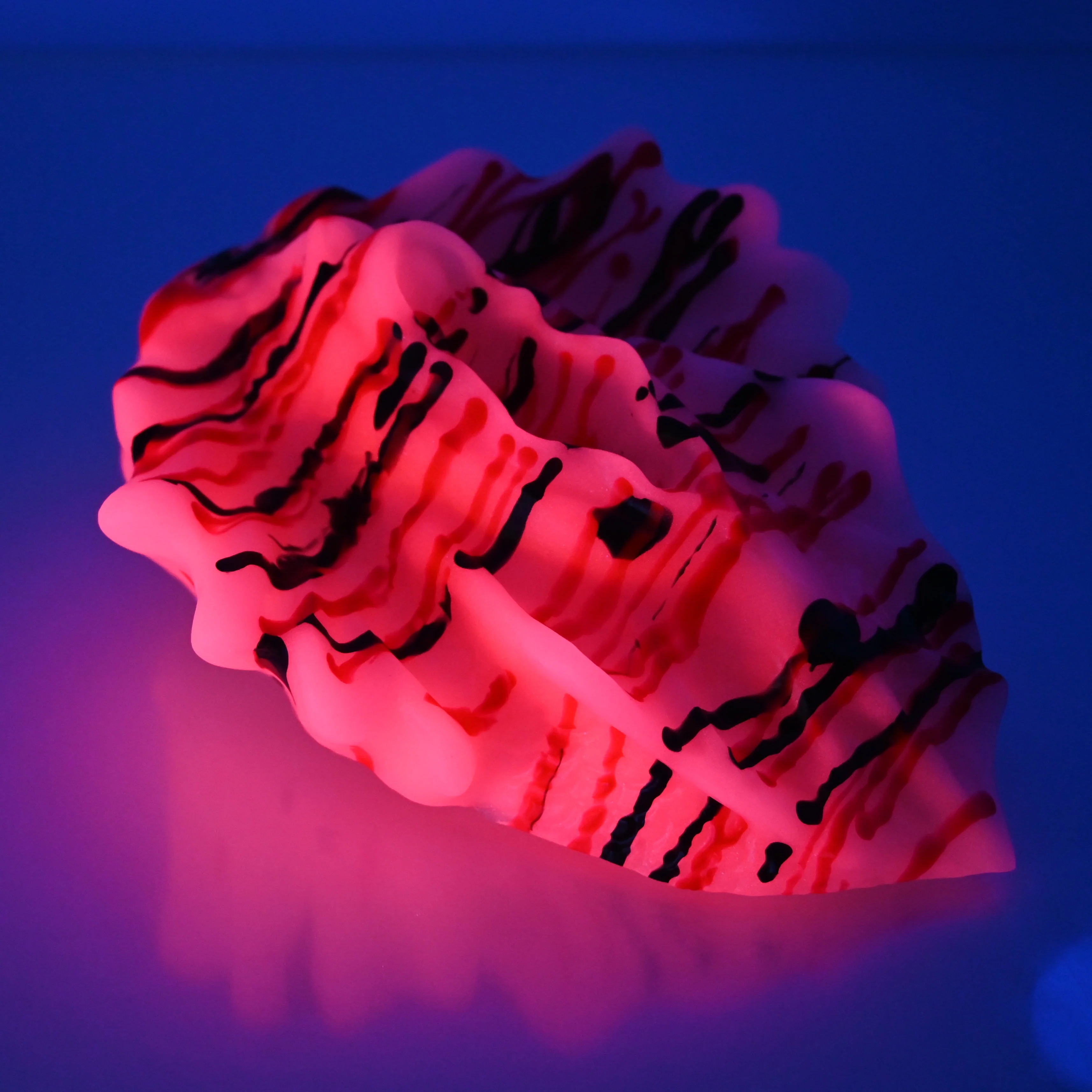 C4SEH87 Calypso Large 0030 UV GITD - Image 3