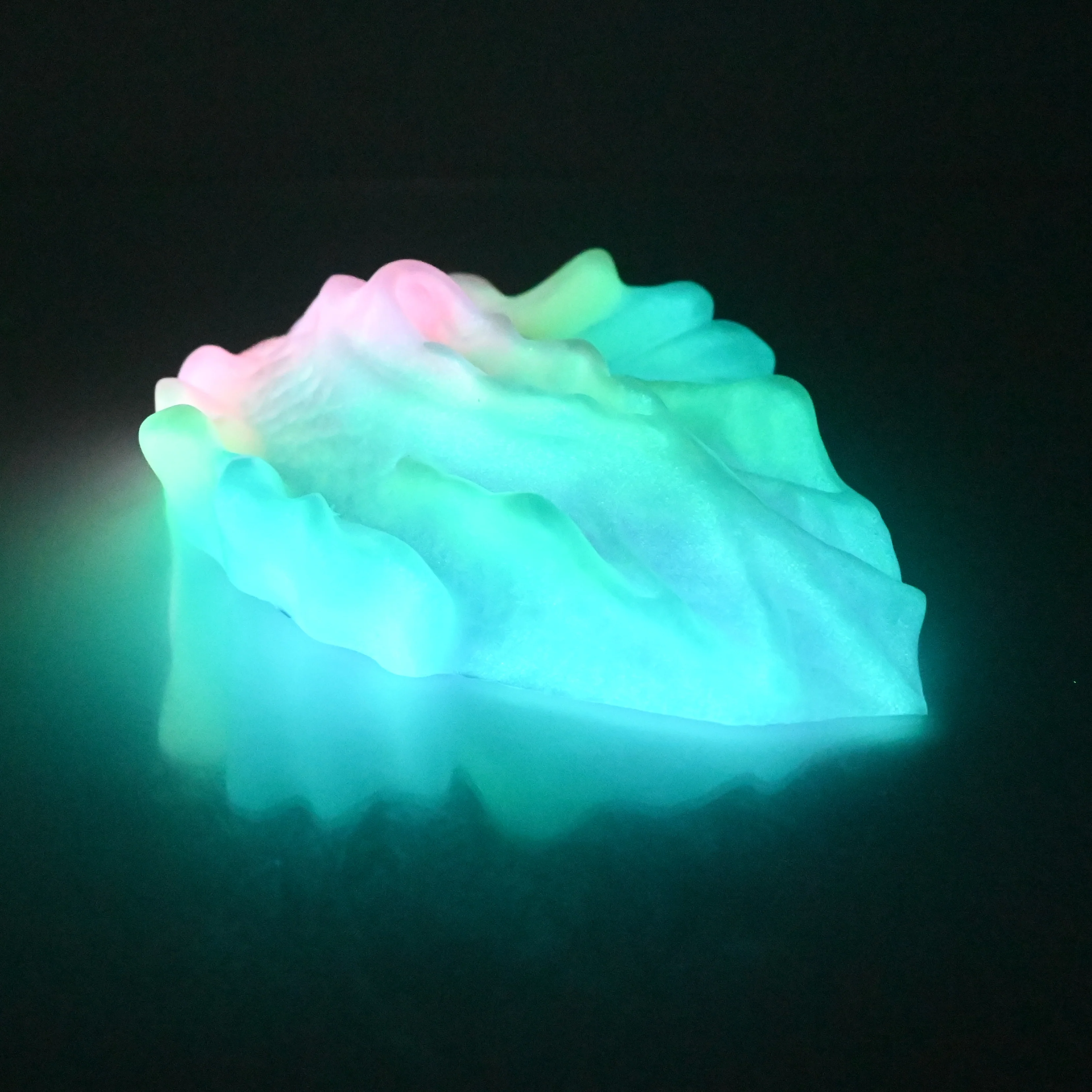 C4SCT58 Calypso Large 0030 UV GITD - Image 4