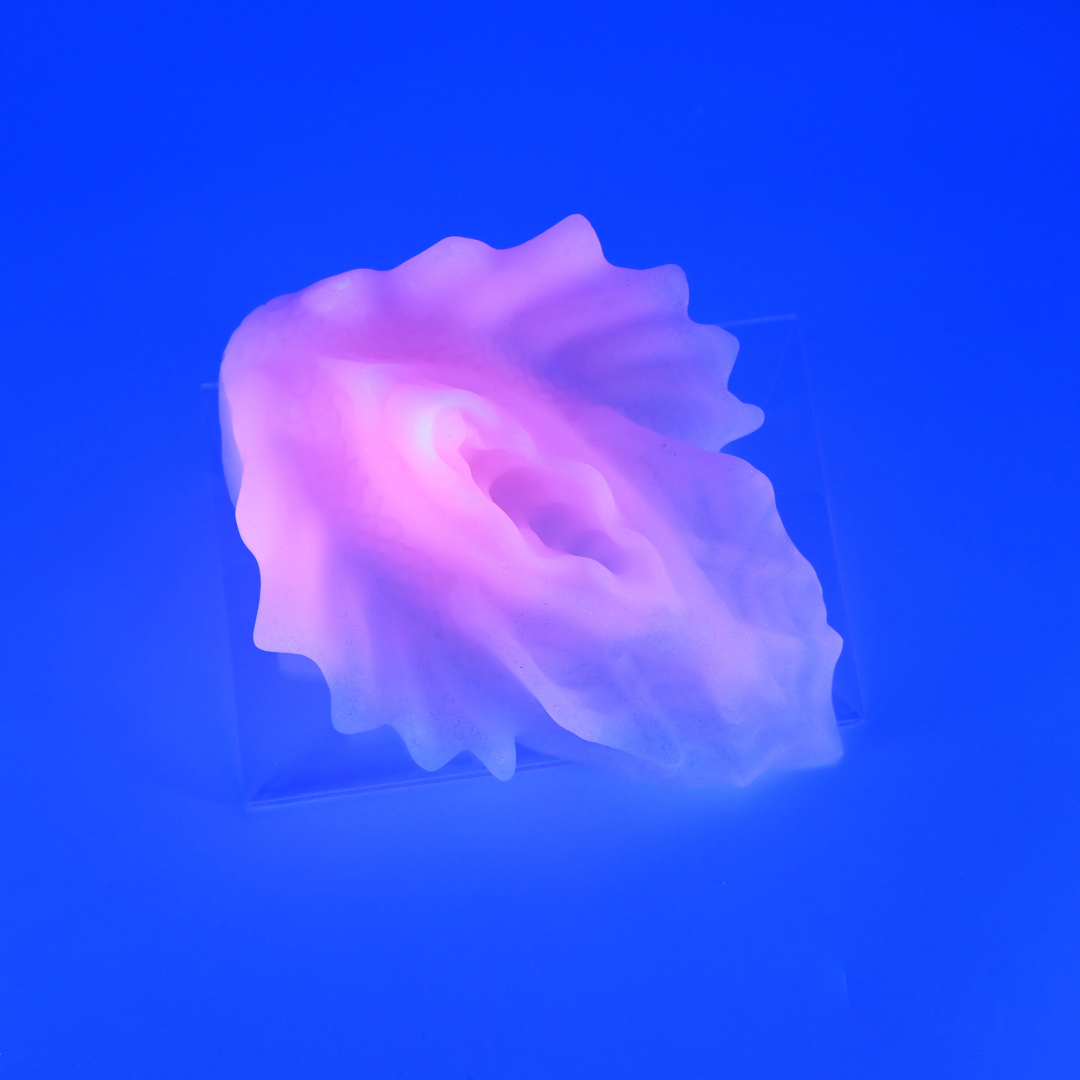 C4SHT47 Calypso Large 0030 UV GITD - Image 2