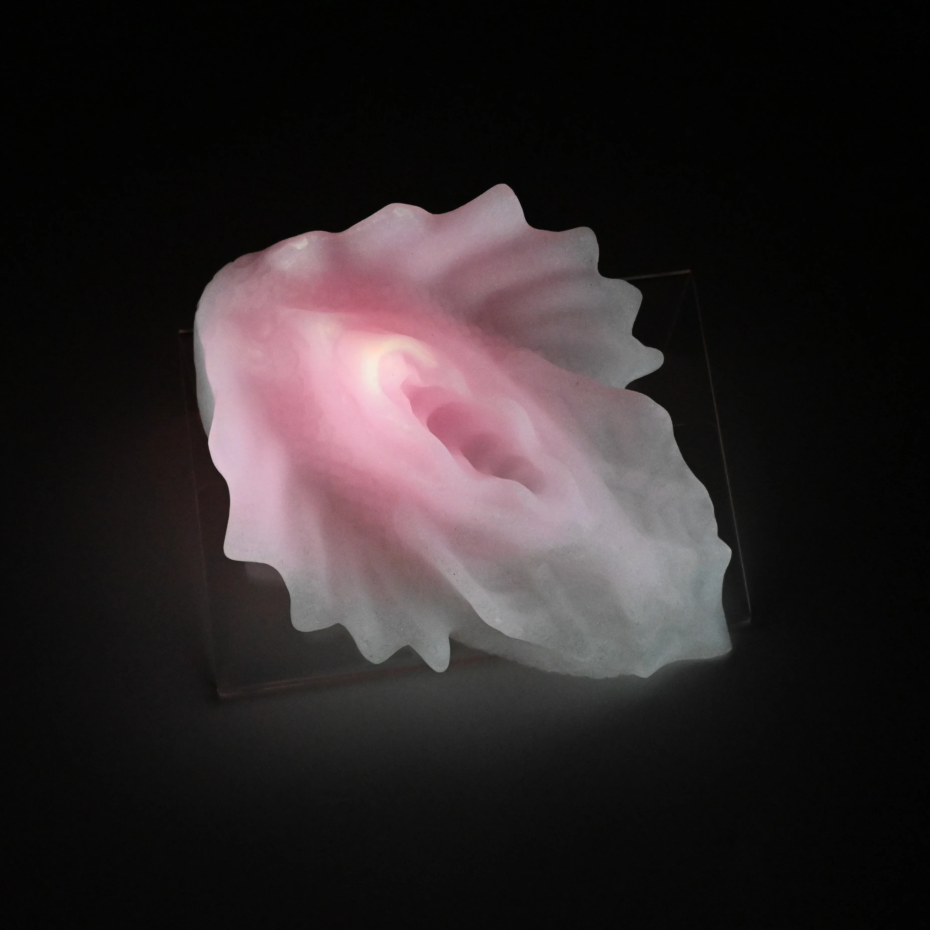 C4SHT47 Calypso Large 0030 UV GITD - Image 3