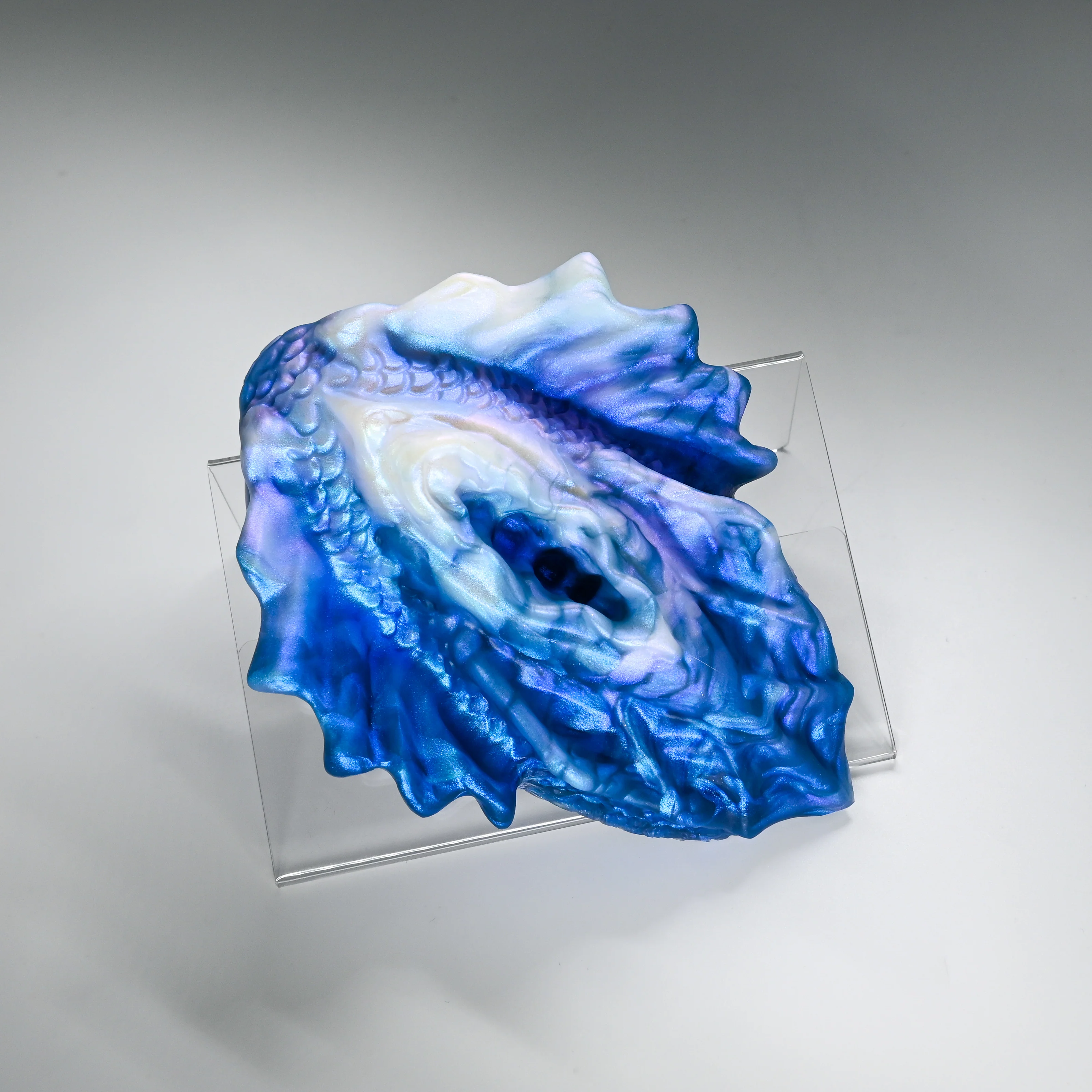 C4MHW69 Calypso Large 0050 CS