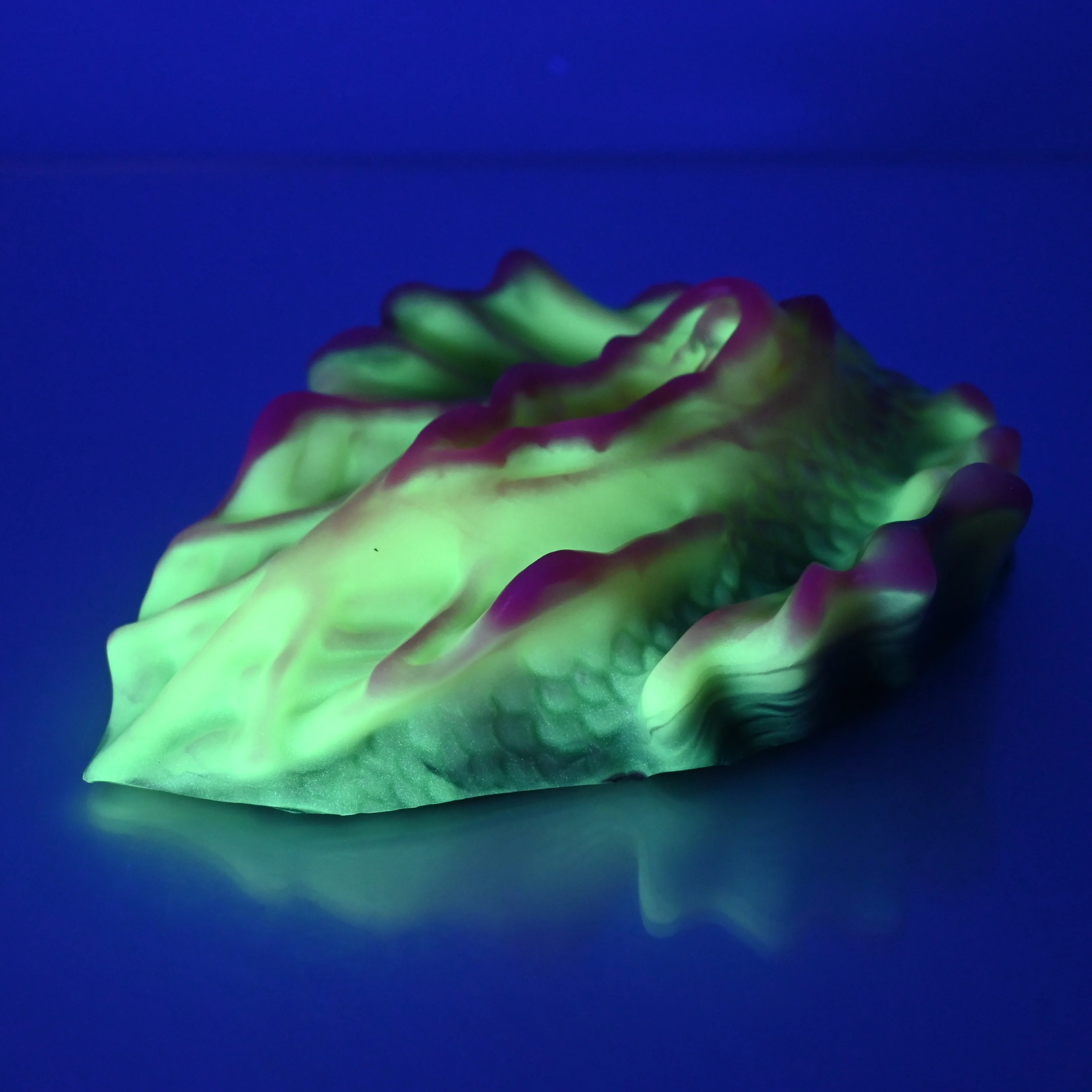 C4MCV99 Calypso Large 0050 UV GITD - Image 3