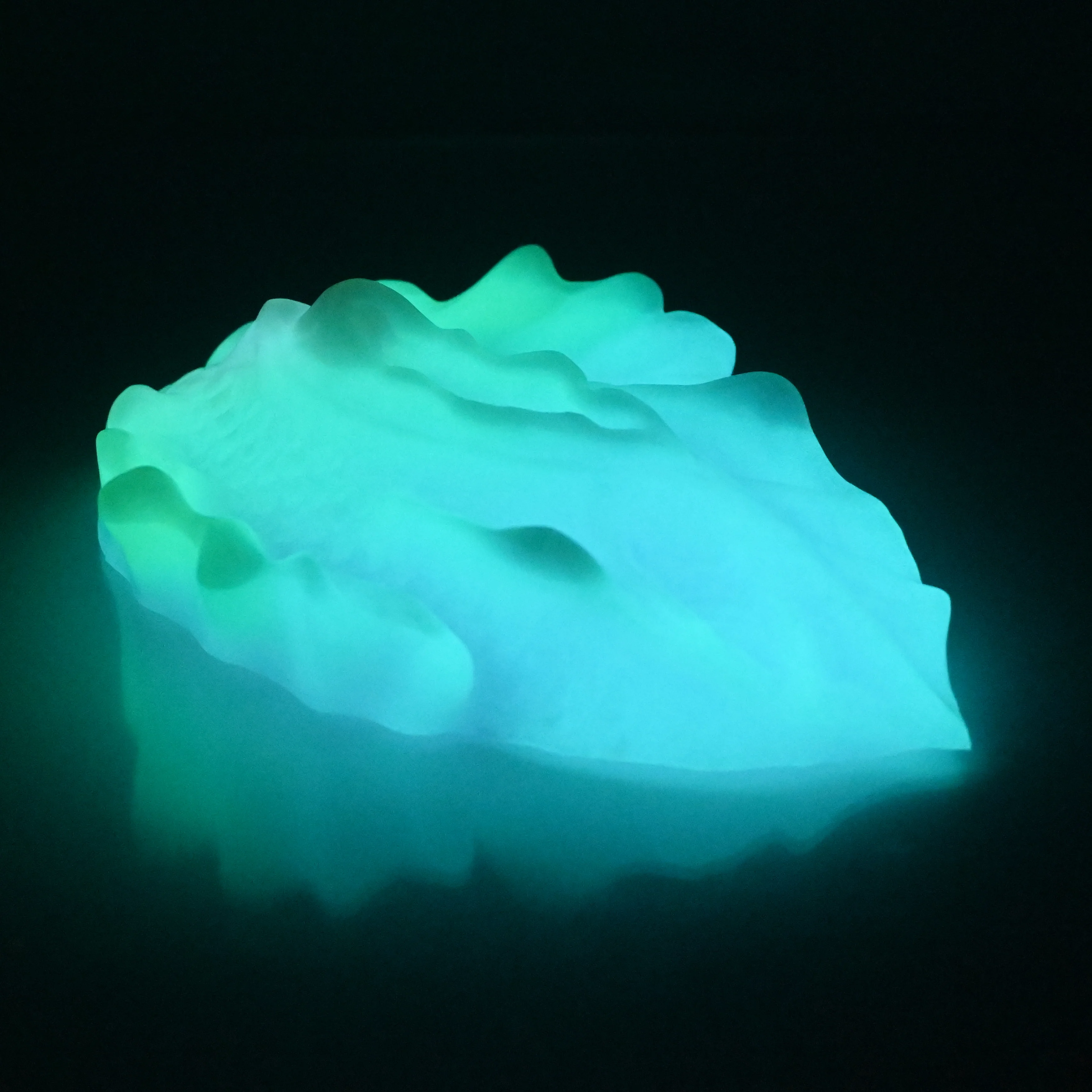 C4XCX31 Calypso Large 0020 UV GITD - Image 4