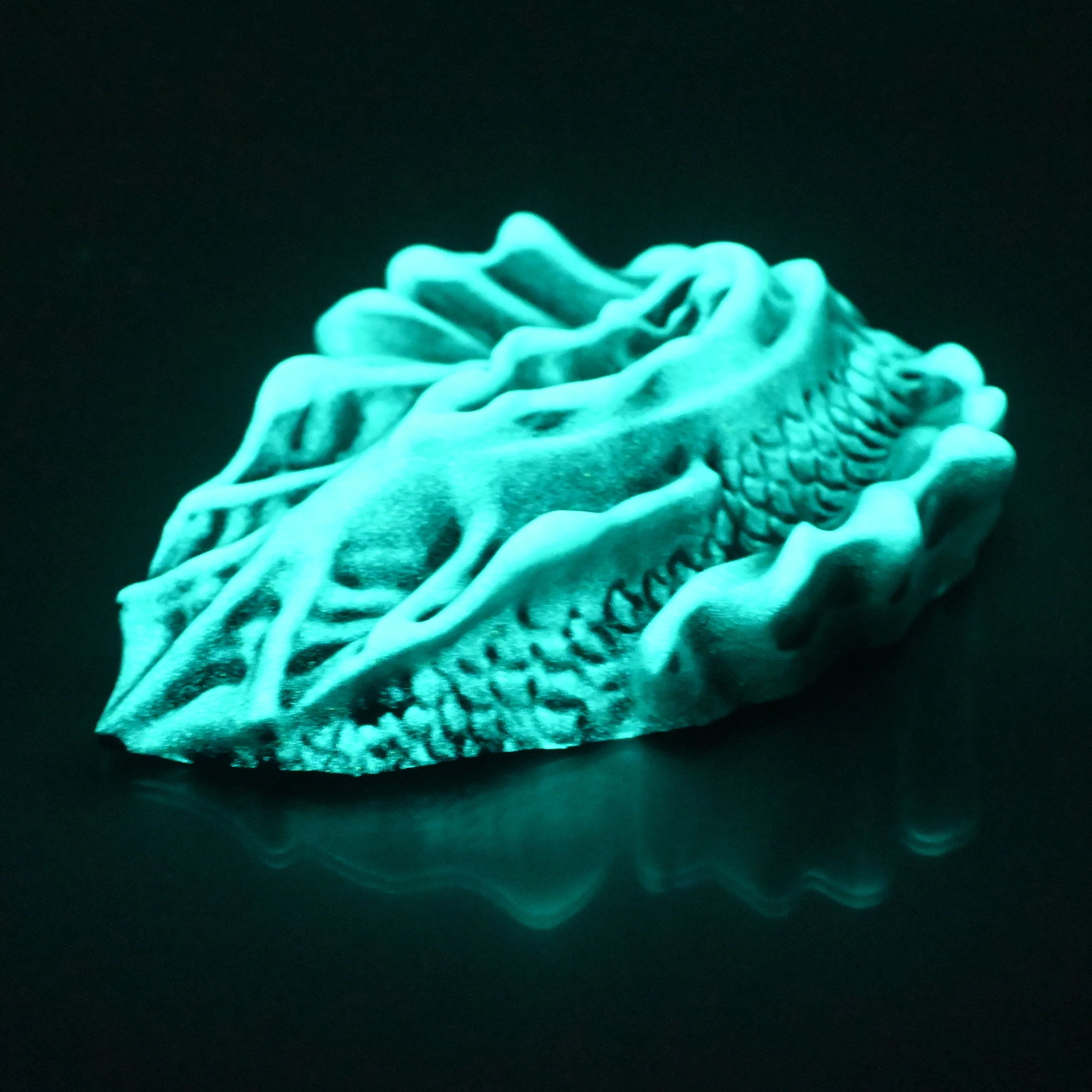 C4SCX29 Calypso Large 0030 UV GITD - Image 4