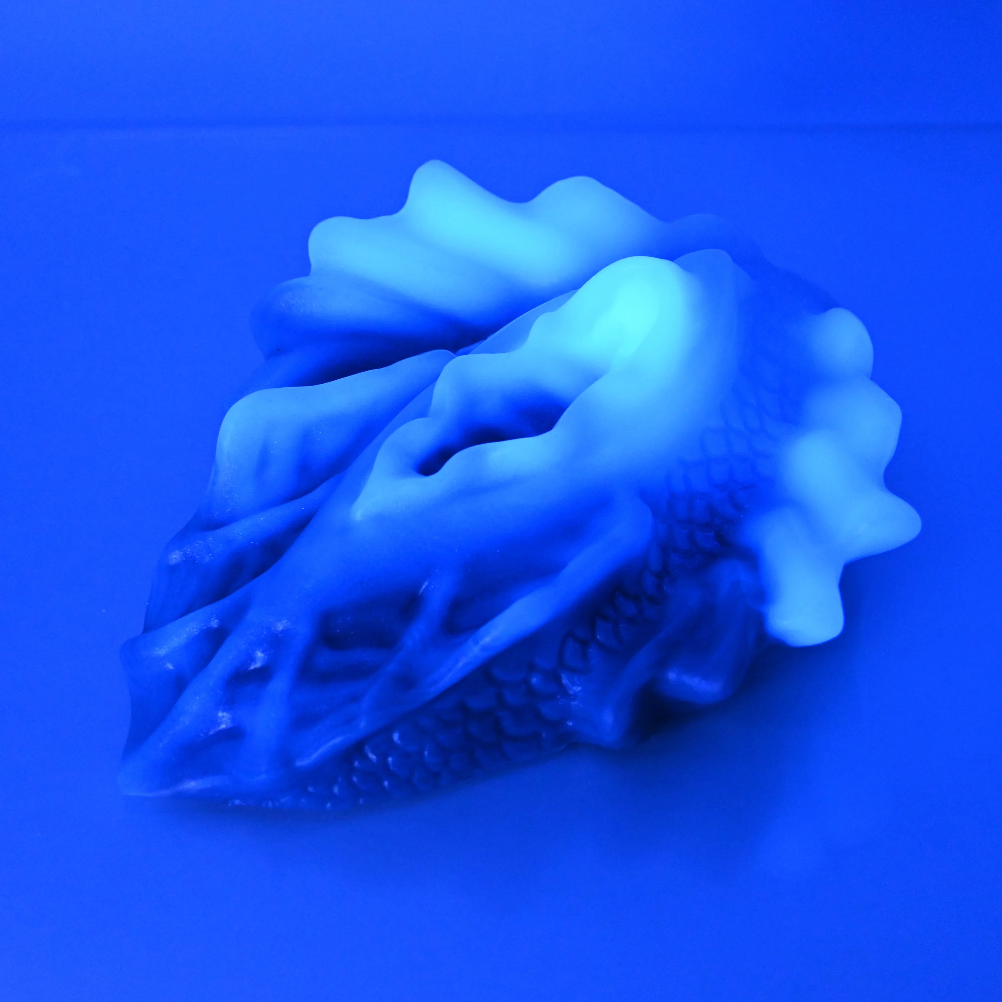C4XDJ42 Calypso Large 0020 UV GITD CS - Image 3