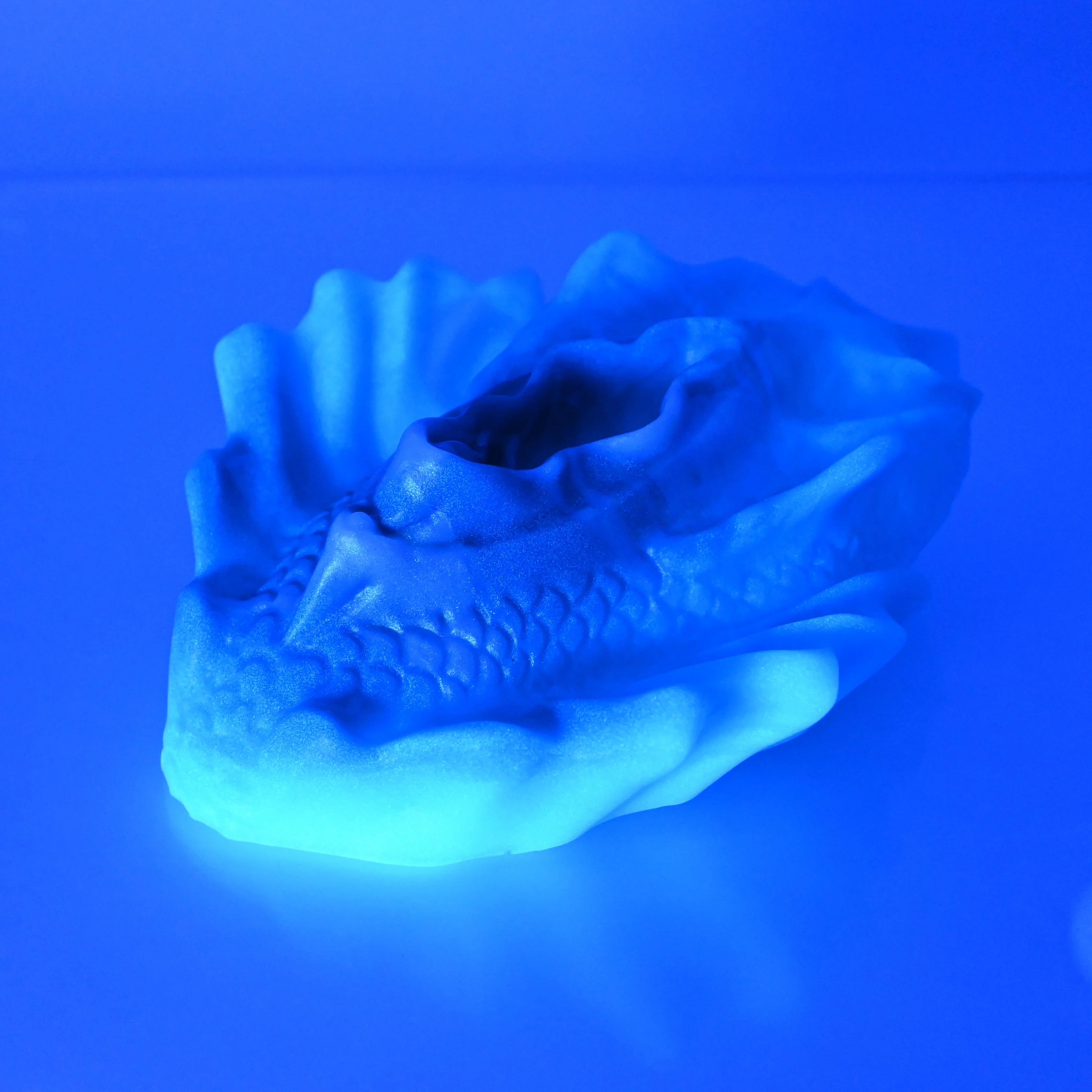 C4SDJ29 Calypso Large 0030 UV GITD CS - Image 3