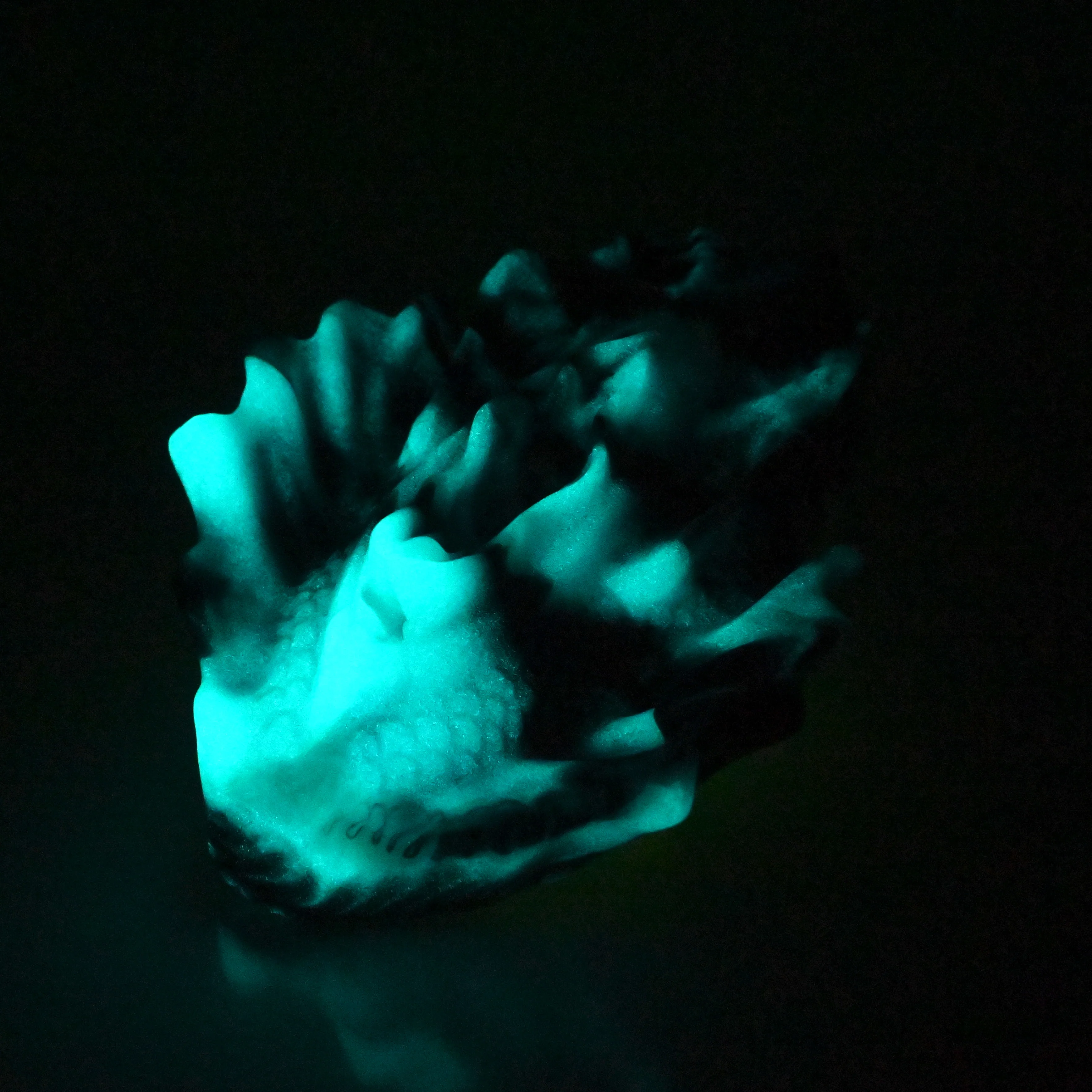 C4MDQ36 Calypso Large 0050 UV GITD - Image 4