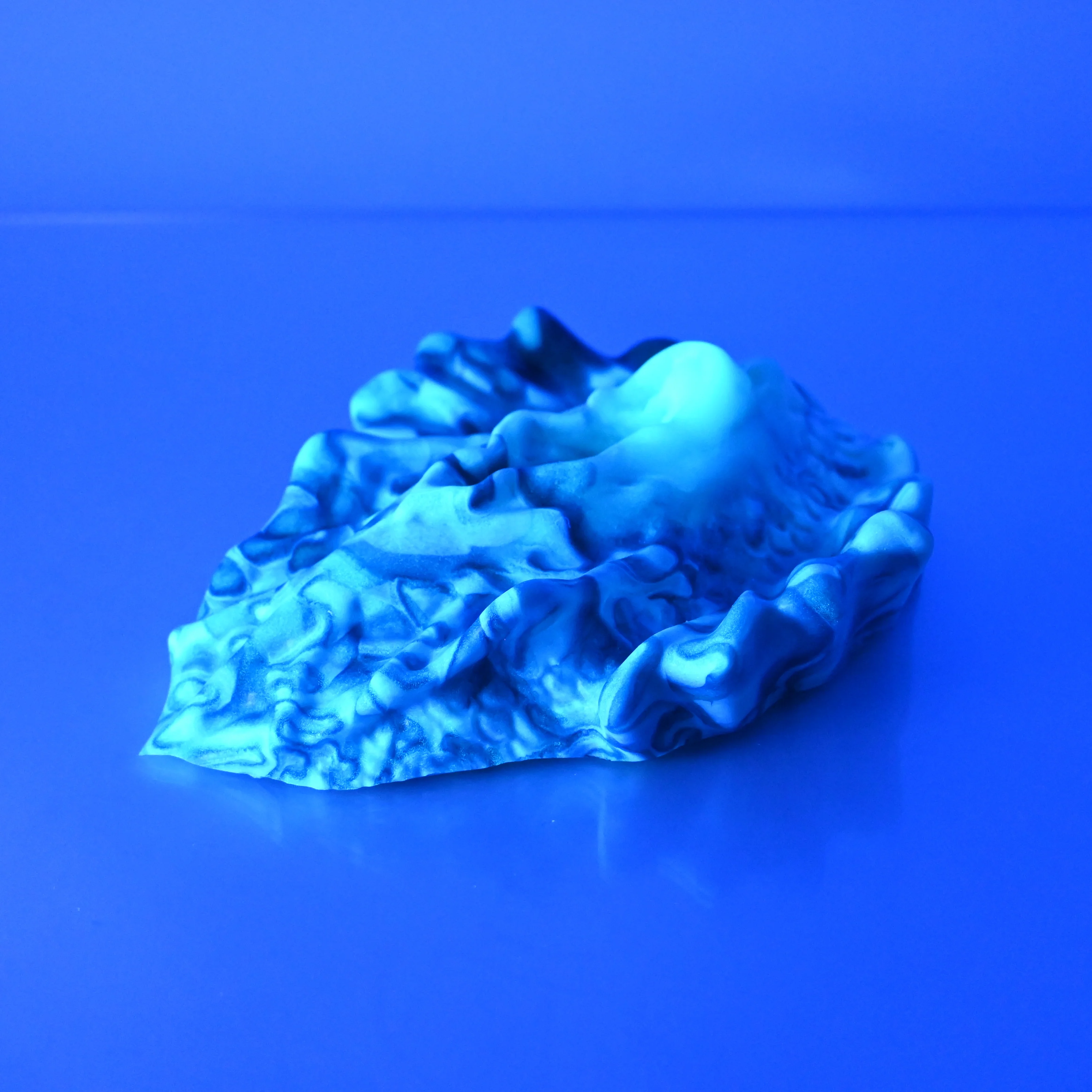 C4MCS29 Calypso Large 0050 UV GITD - Image 3