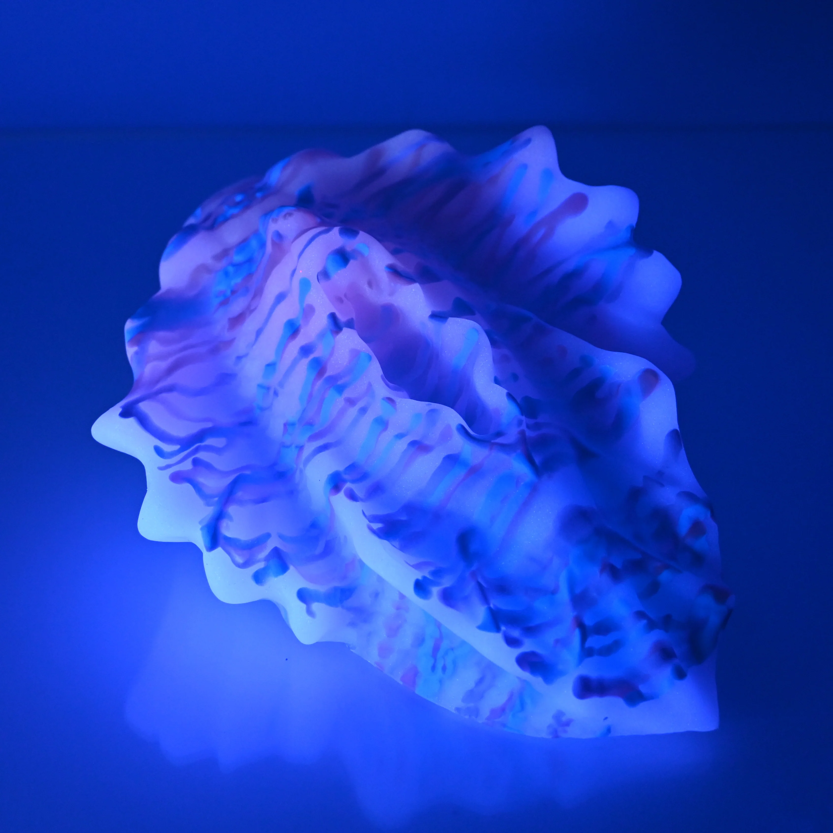 C4MDU77 Calypso Large 0050 UV GITD - Image 3