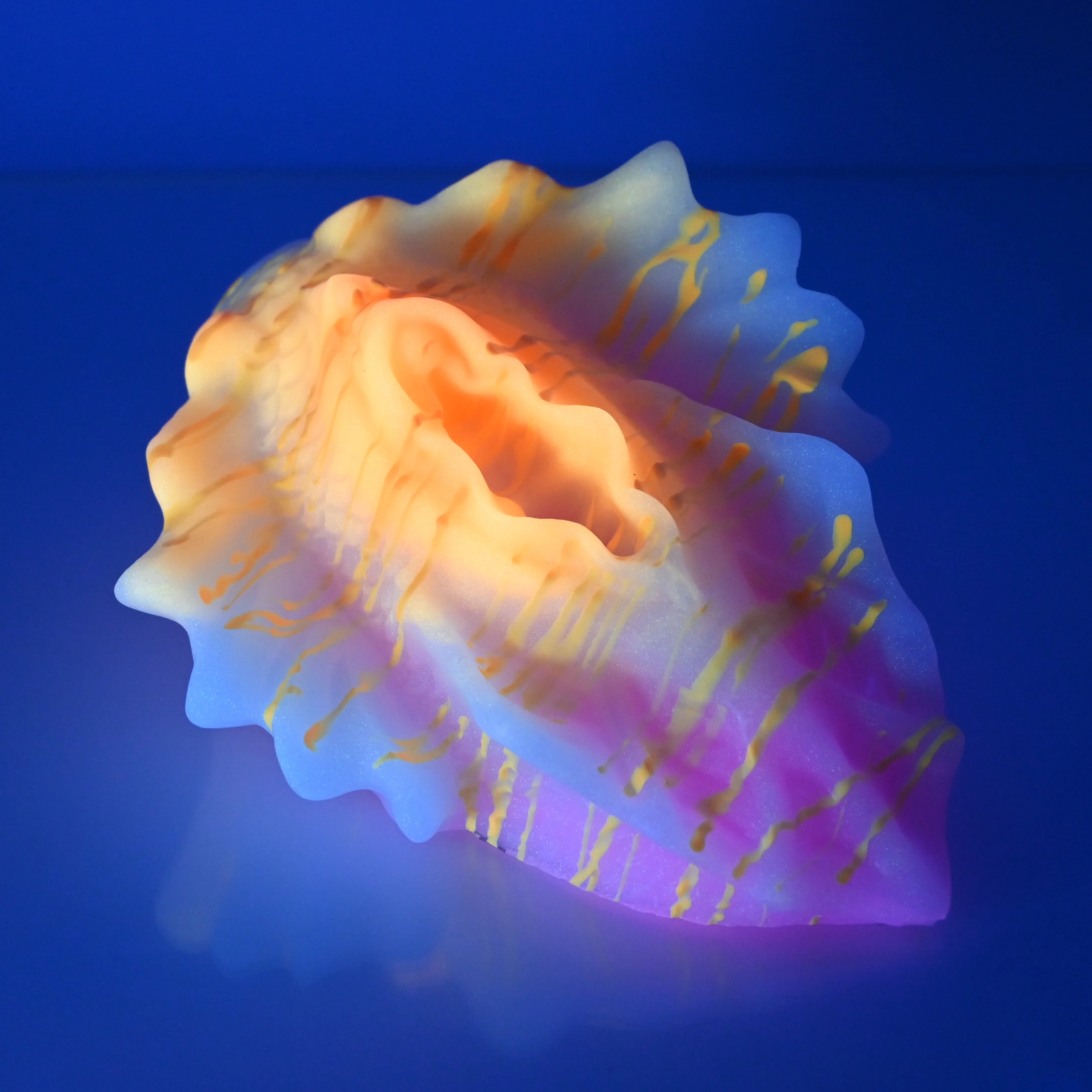 C4SDU85 Calypso Large 0030 UV GITD - Image 3