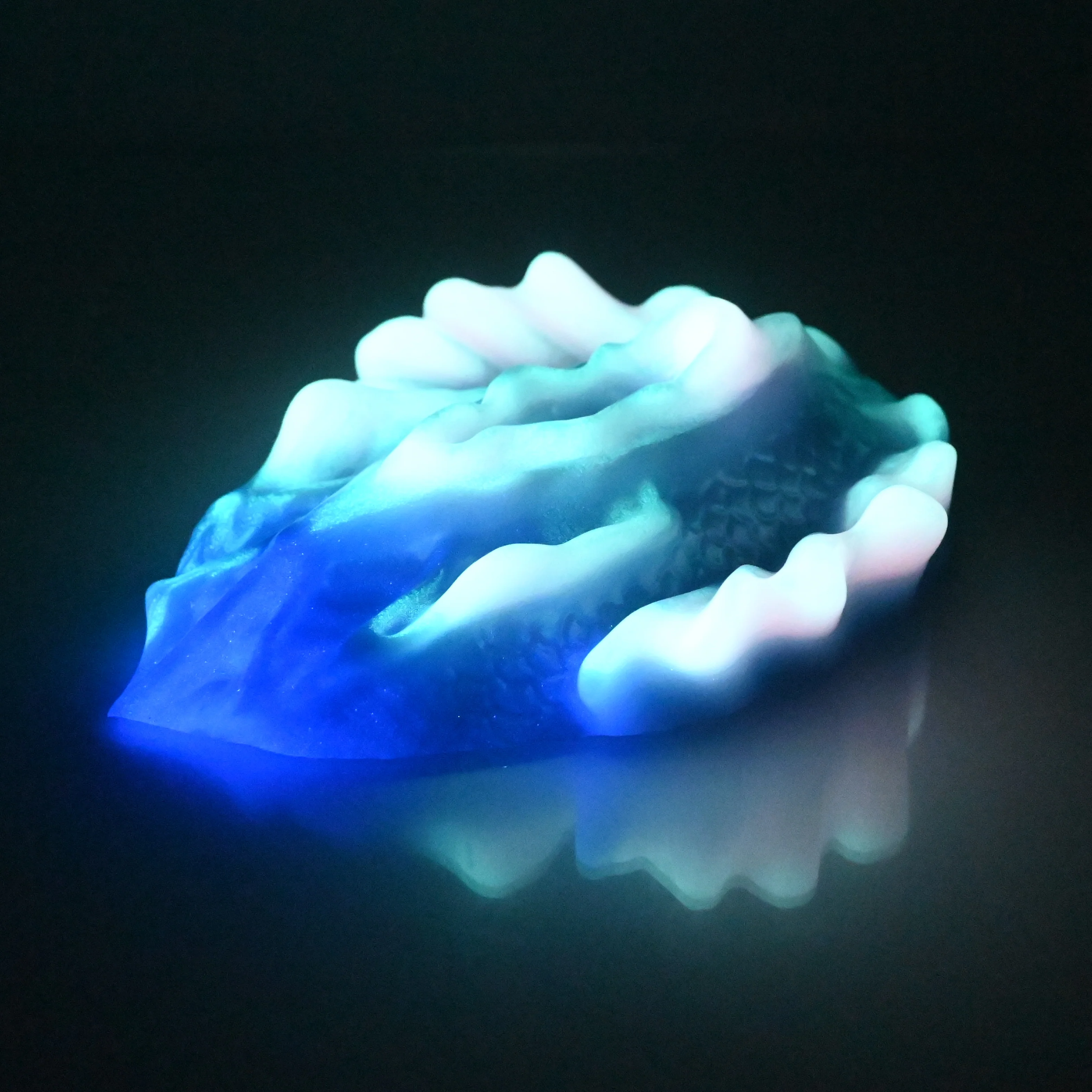 C4SCS40 Calypso Large 0030 UV GITD - Image 4