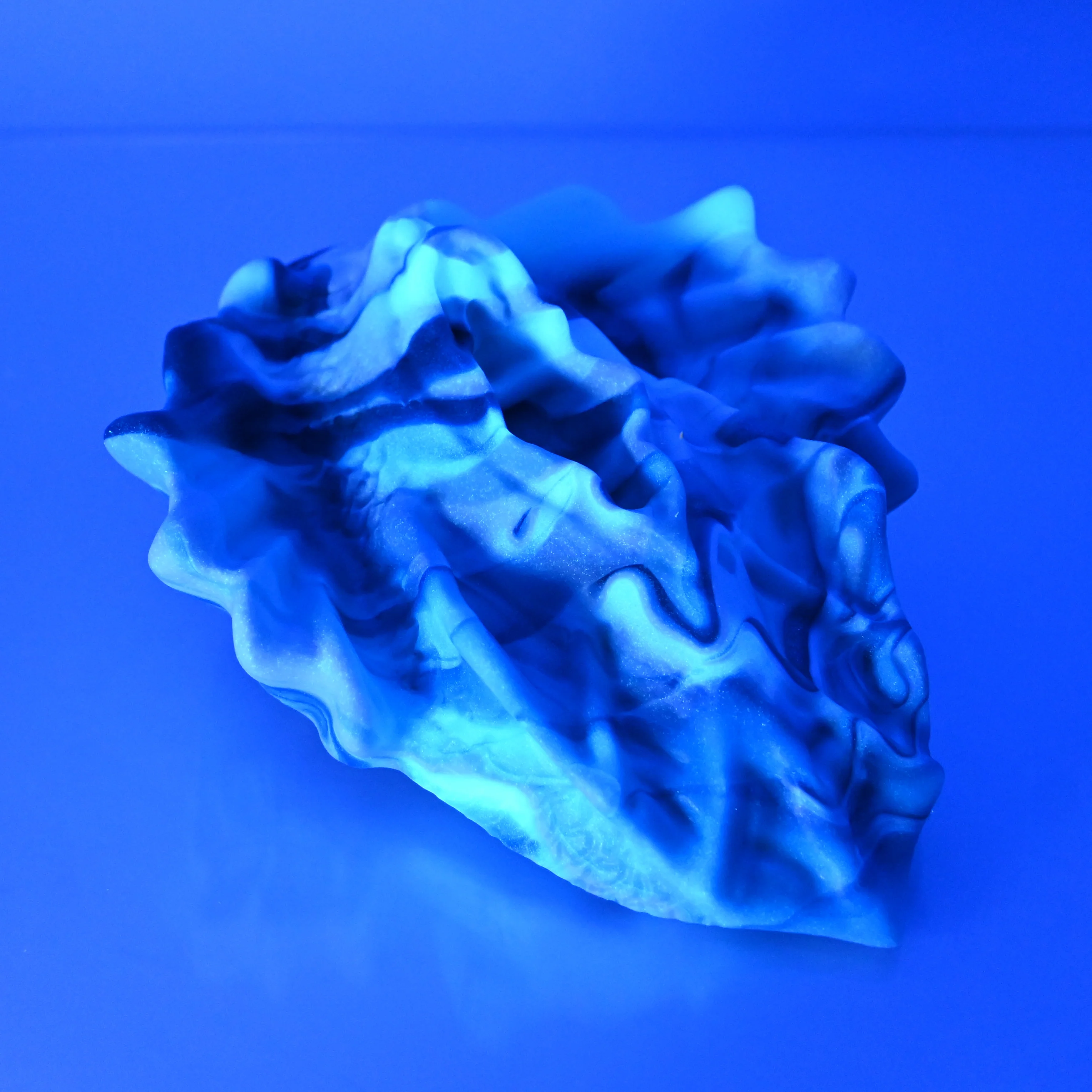 C4SDX86 Calypso Large 0030 UV GITD - Image 3