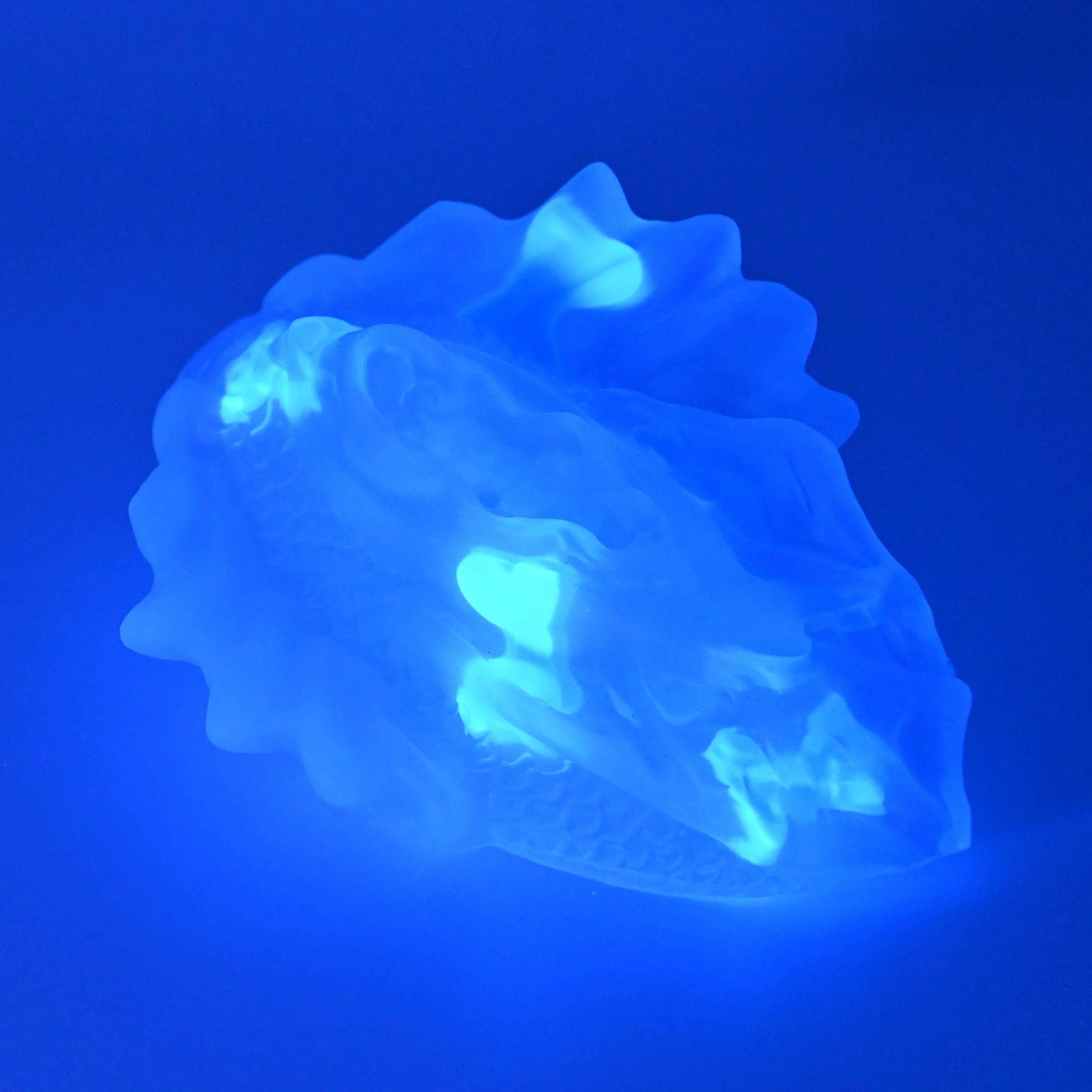 C2TGB07 Calypso Small NC 0031 UV GITD - Image 3