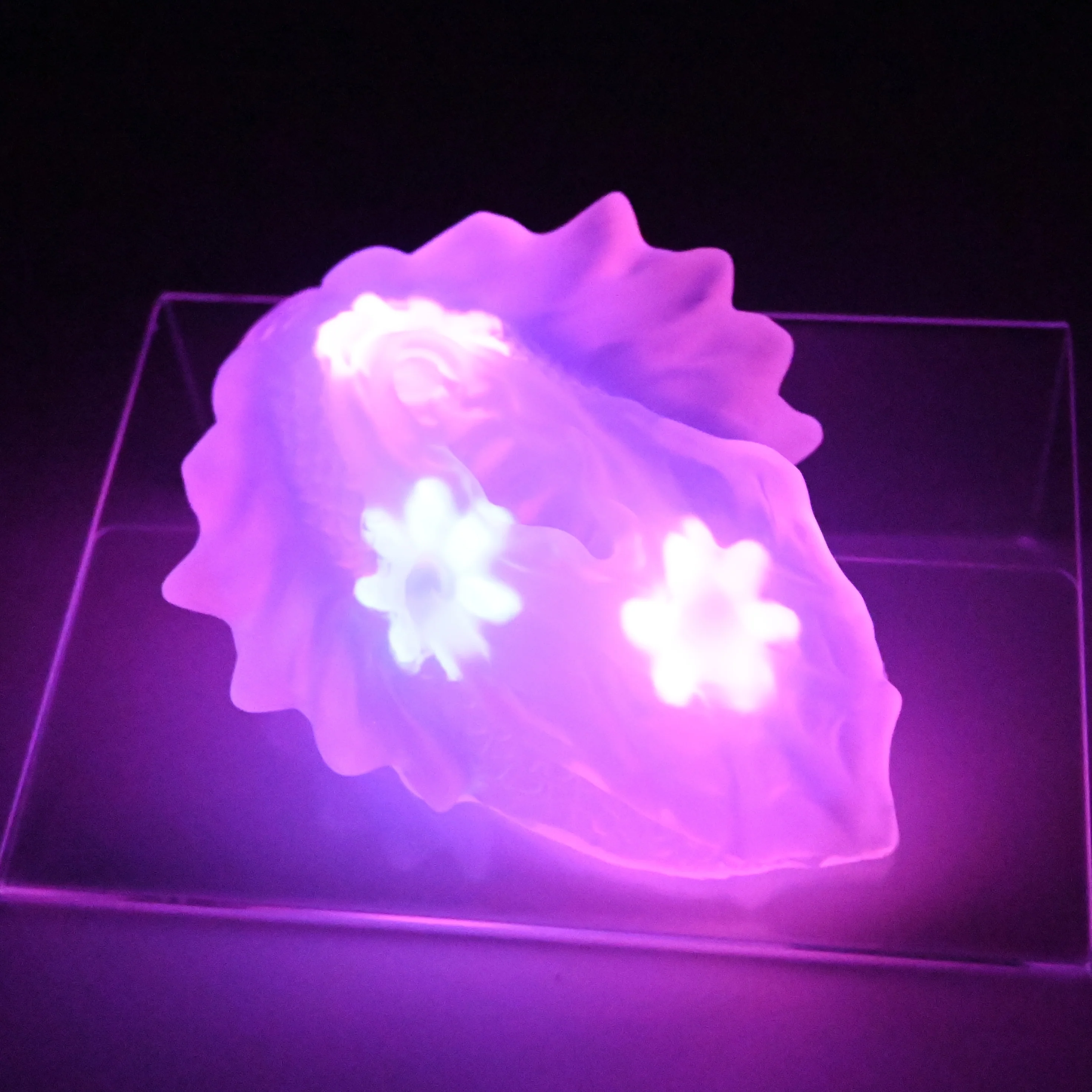 C2TGW34 Calypso Small NC 0031 UV GITD CS - Image 4
