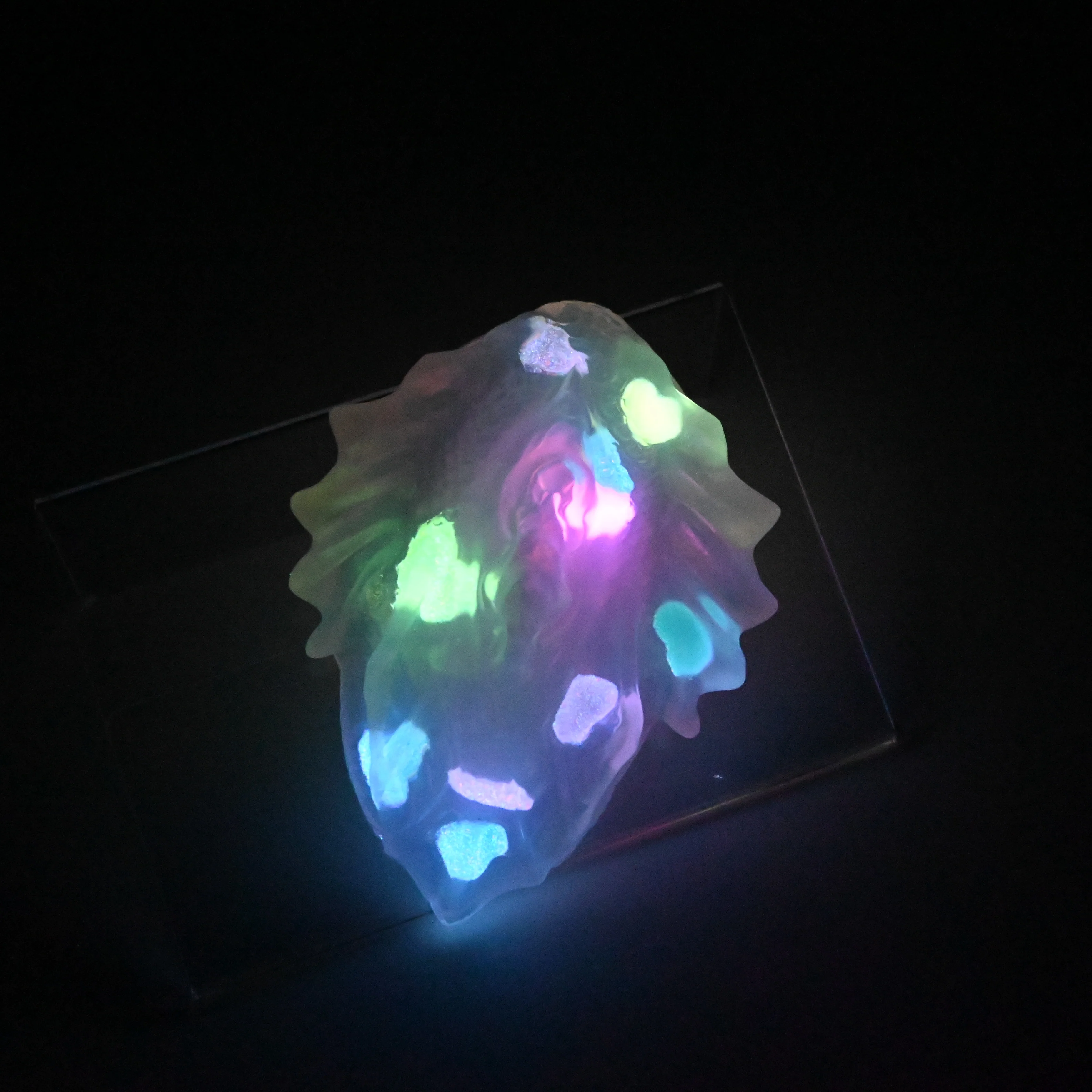 C2THF32 Calypso Small NC 0031 UV GITD - Image 4