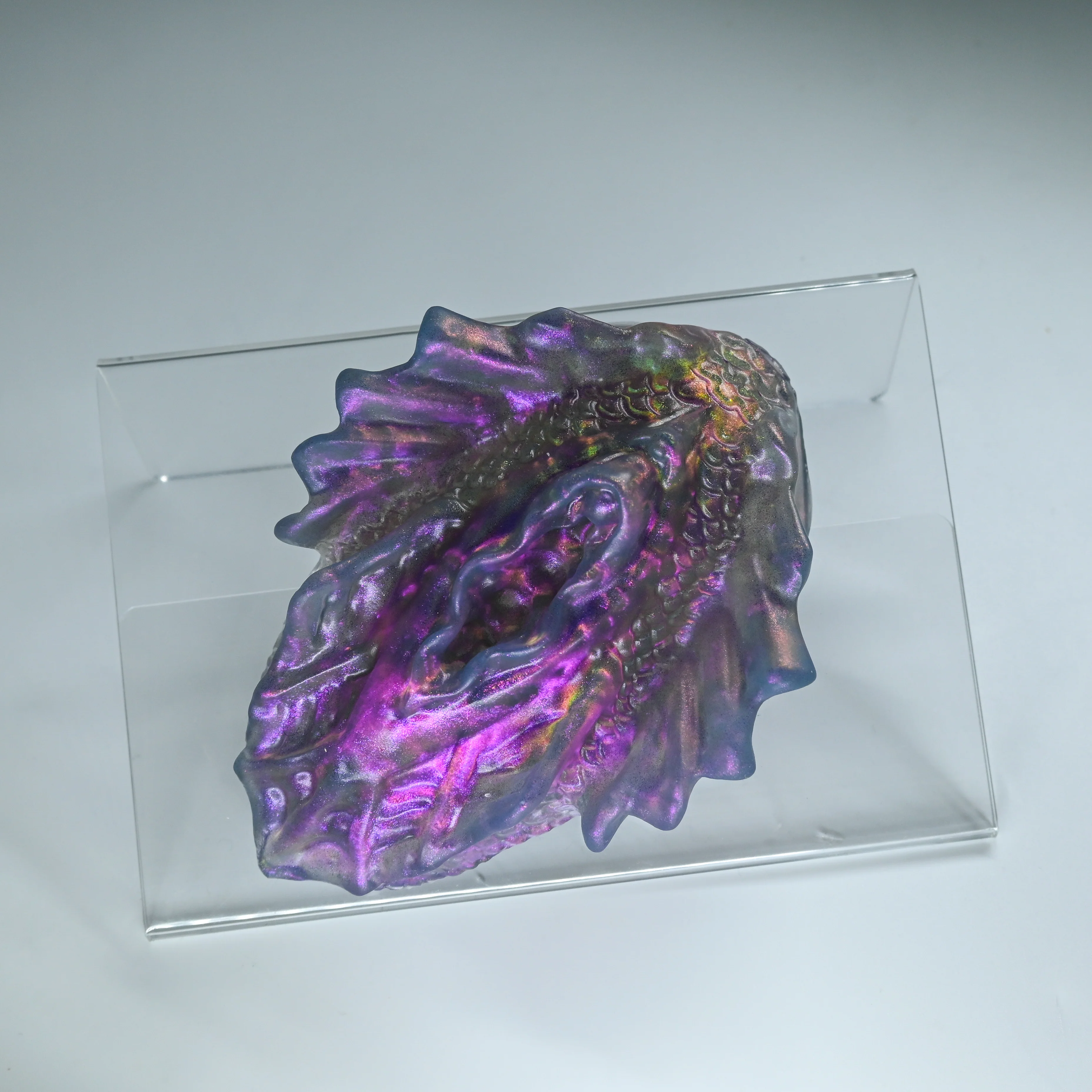 C2TJL44 Calypso Small NC 0031 CS - Image 2